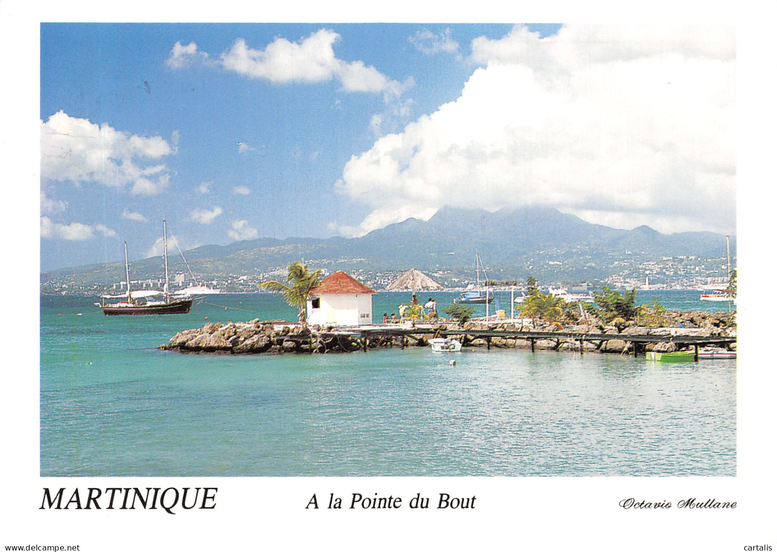 972-MARTINIQUE-N°4196-C/0115 - Andere & Zonder Classificatie