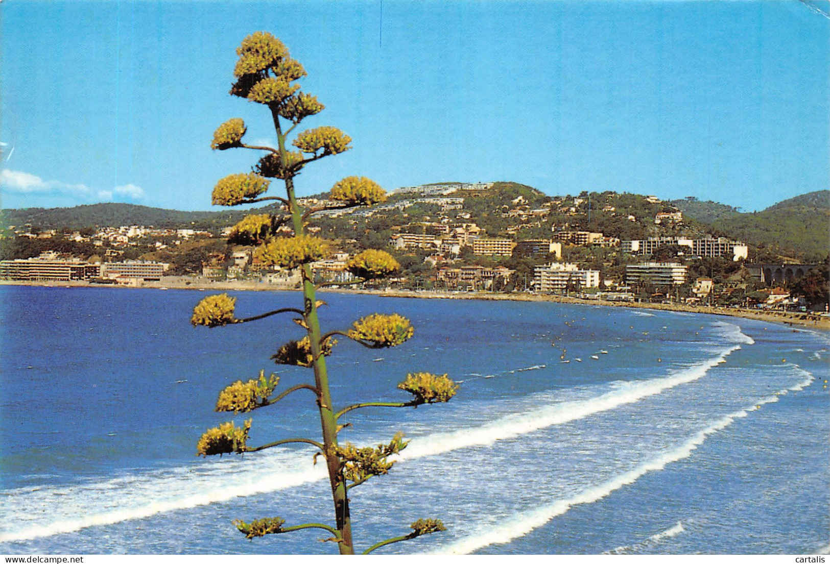 83-BANDOL-N°4196-C/0107 - Bandol