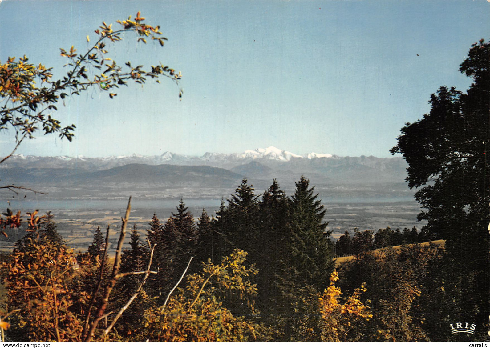 01-COL DE LA FAUCILLE-N°4196-B/0345 - Zonder Classificatie