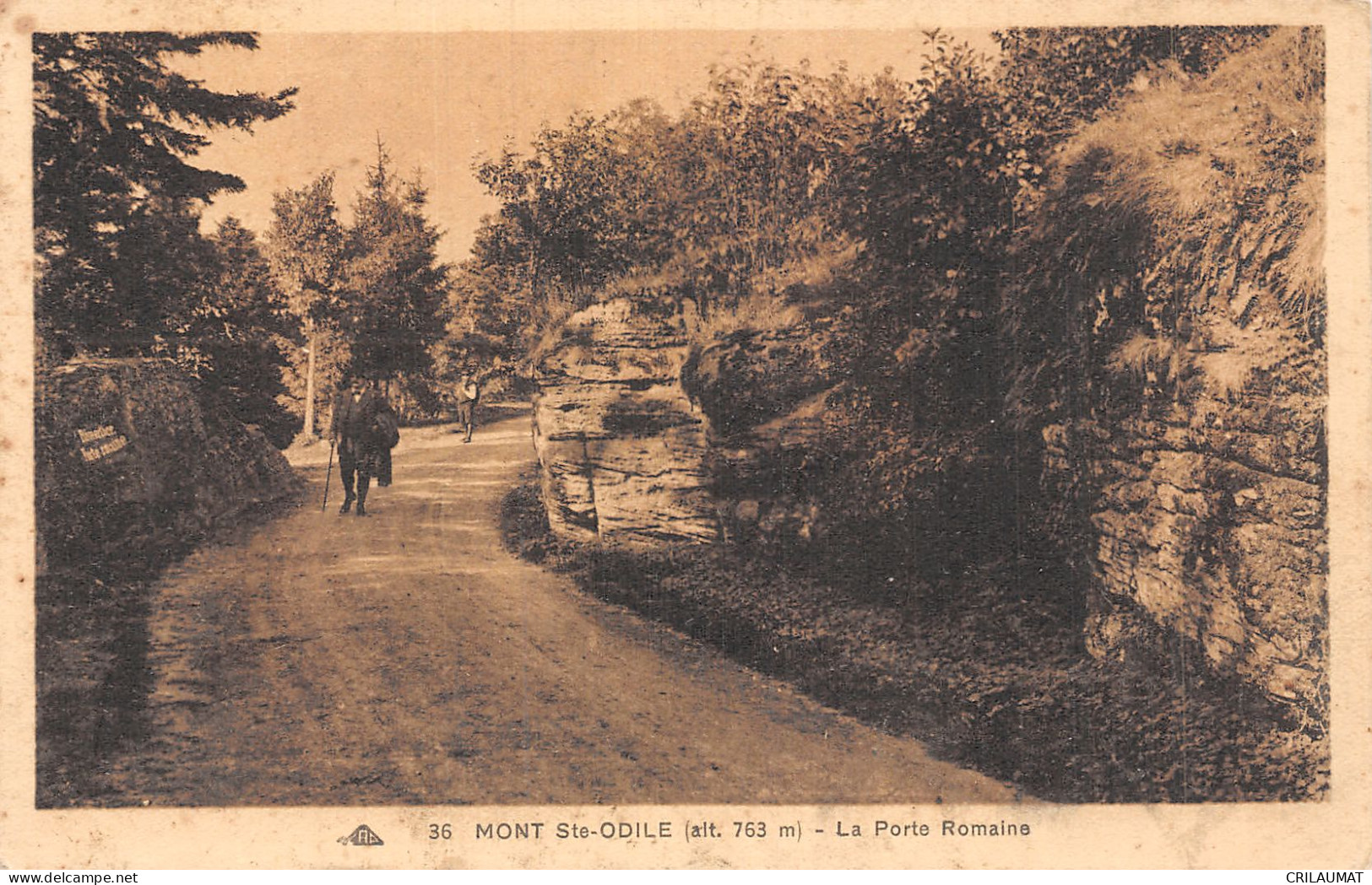 67-MONT SAINTE ODILE-N°5143-H/0391 - Other & Unclassified