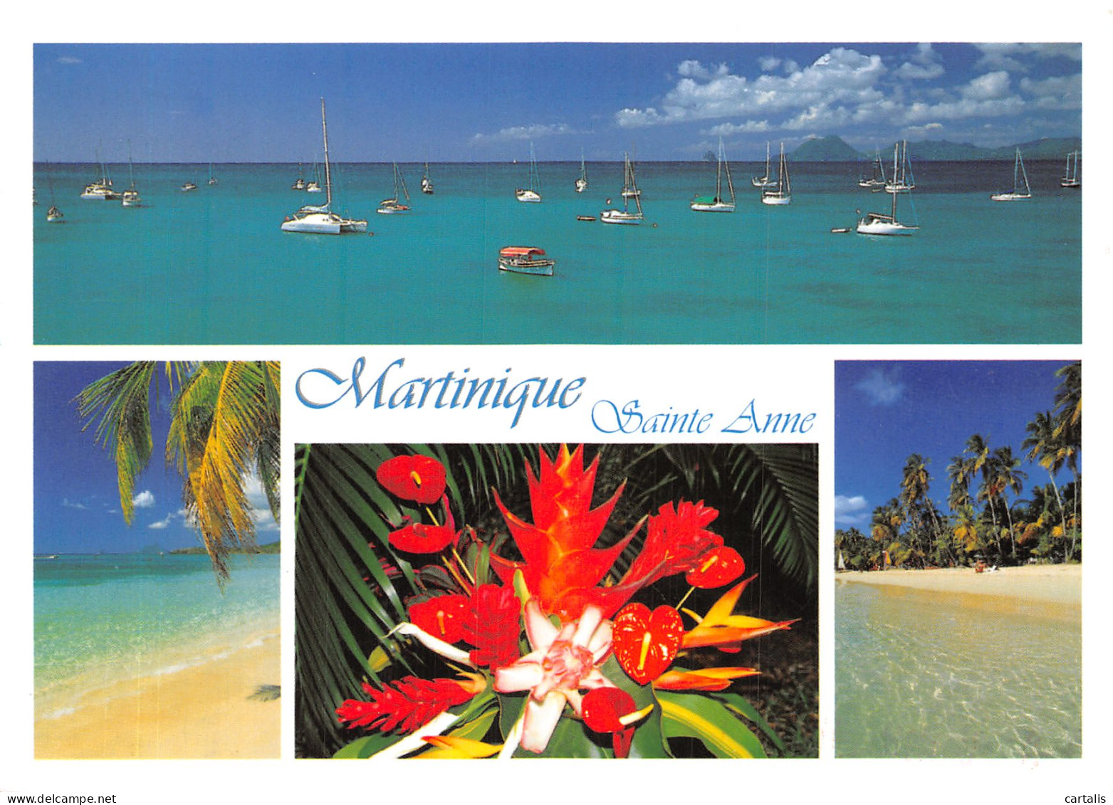 972-MARTINIQUE SAINT ANNE-N°4197-B/0077 - Andere & Zonder Classificatie