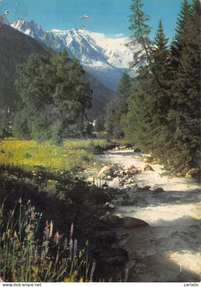 74-CHAMONIX-N°4197-A/0331 - Chamonix-Mont-Blanc