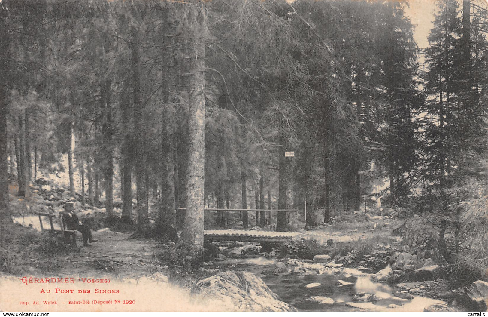 88-GERARDMER-N°4196-E/0101 - Gerardmer