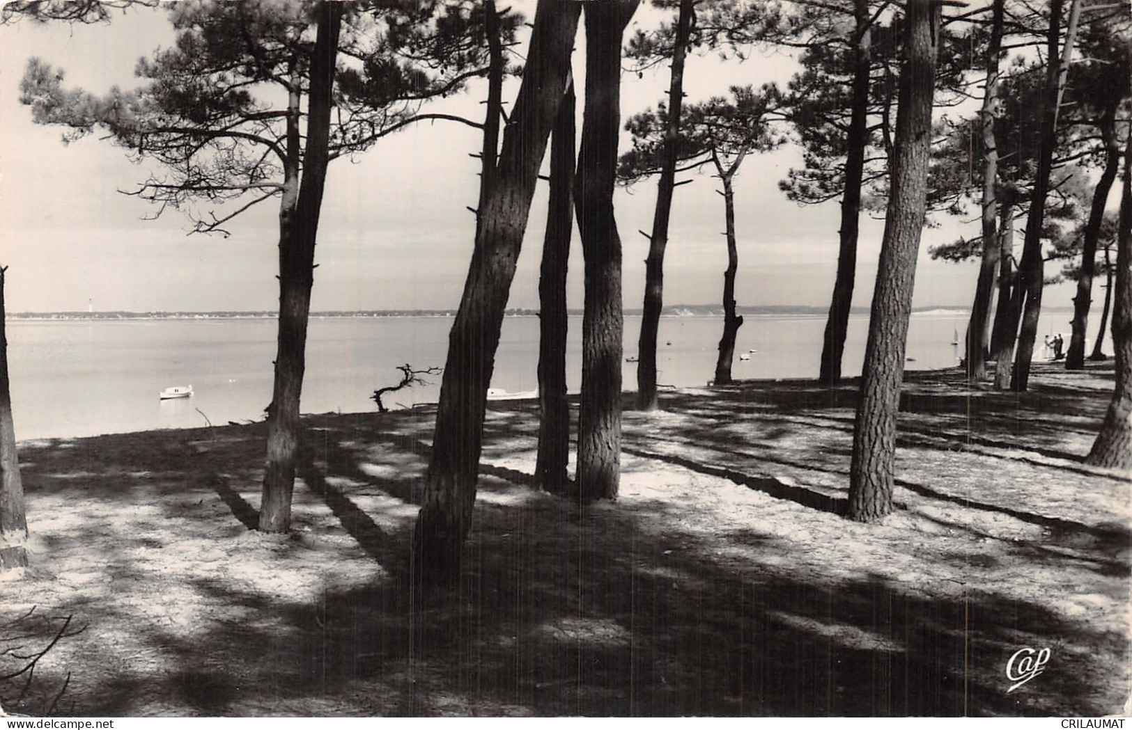 33-ARCACHON-N°5144-D/0193 - Arcachon