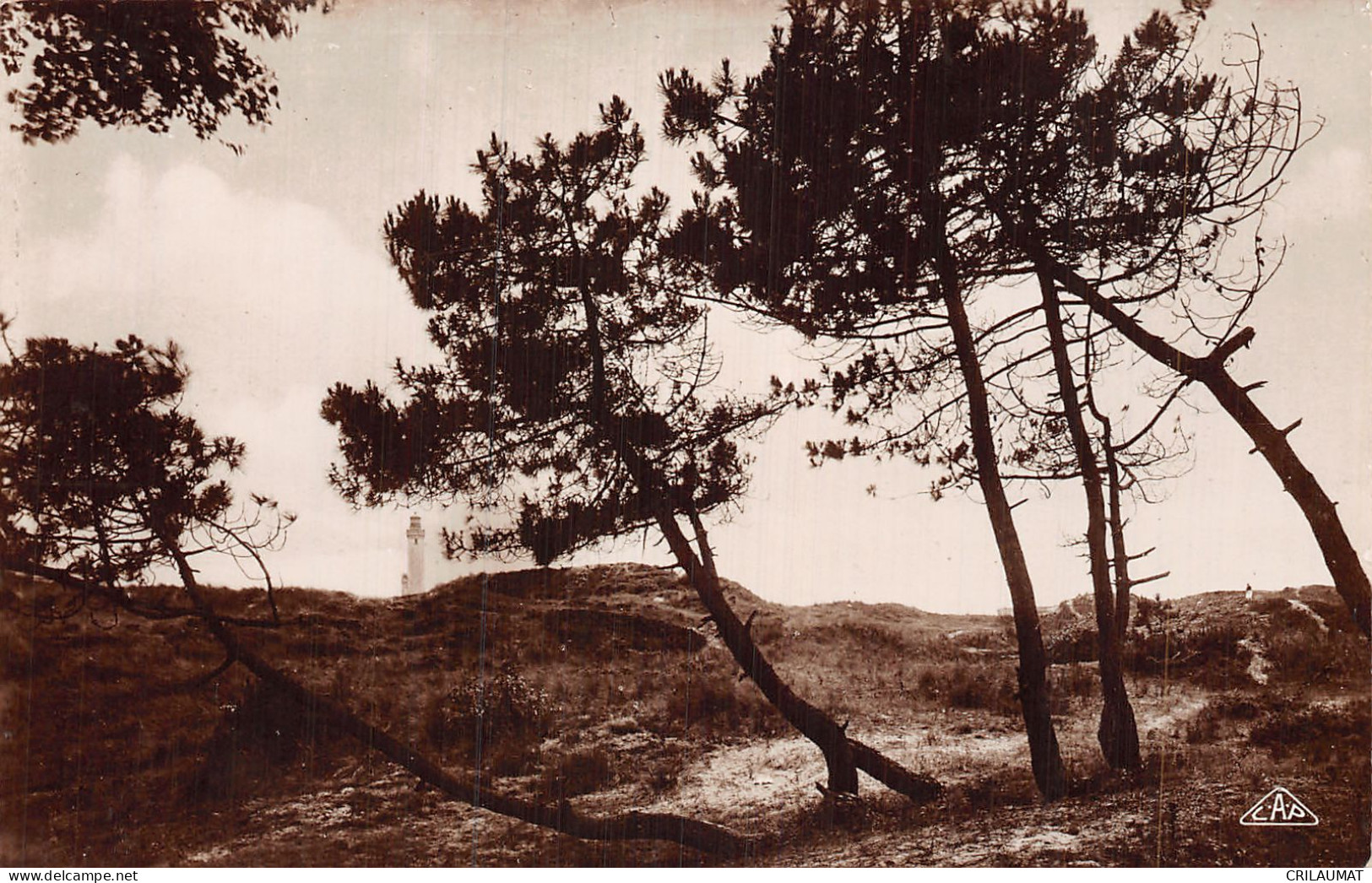 62-PARIS PLAGE LES DUNES-N°5144-C/0219 - Sonstige & Ohne Zuordnung