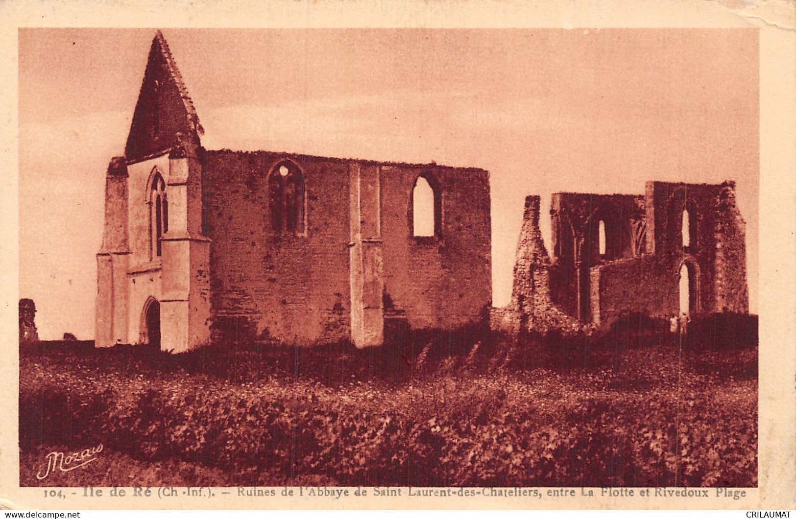 17-ILE DE RE RUNES ABBAYE DE SAINT LAURENT DES CHATELIERS-N°5144-C/0185 - Ile De Ré