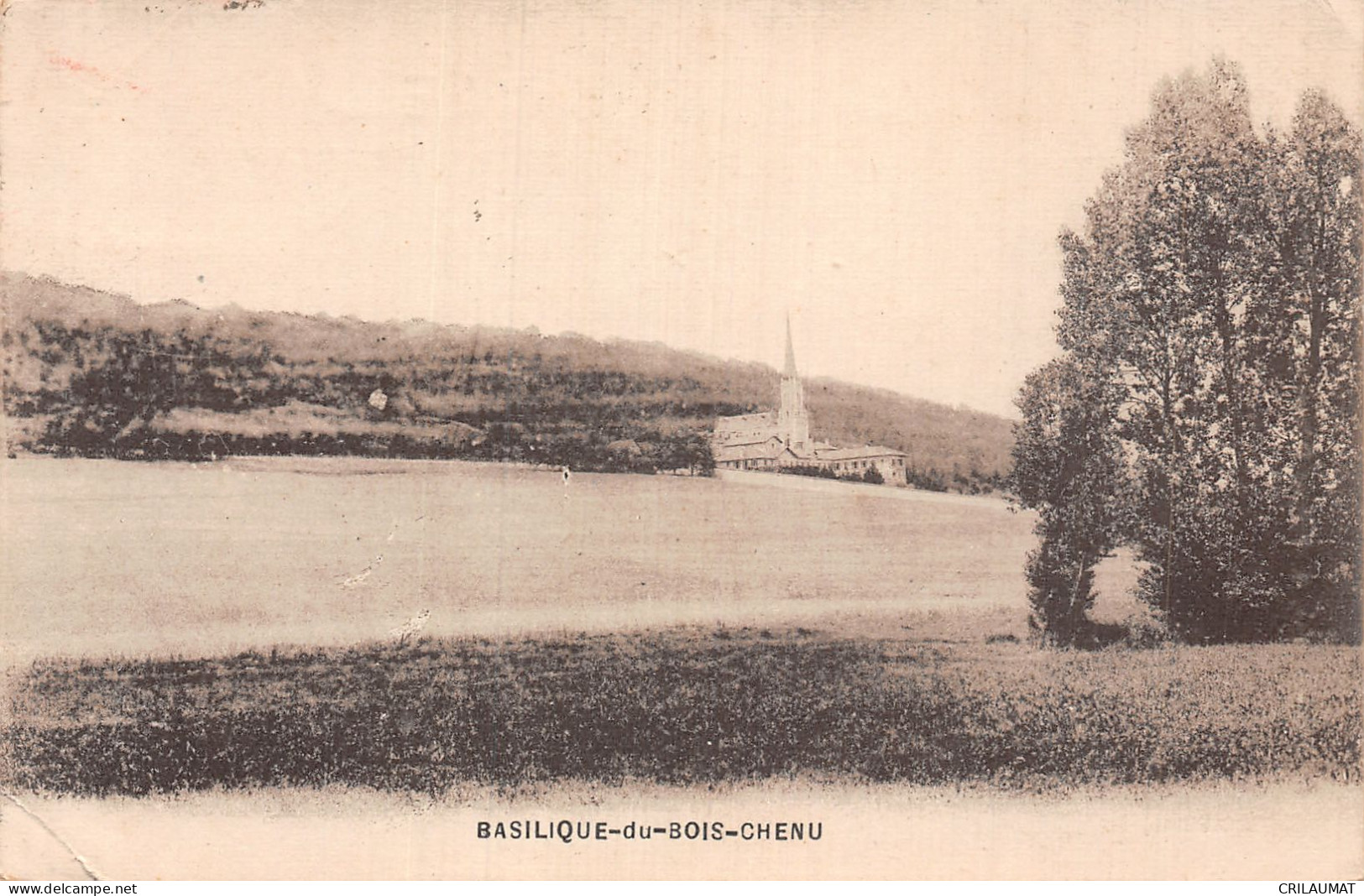 88-BASILIQUE DU BOIS CHENU-N°5144-B/0239 - Sonstige & Ohne Zuordnung