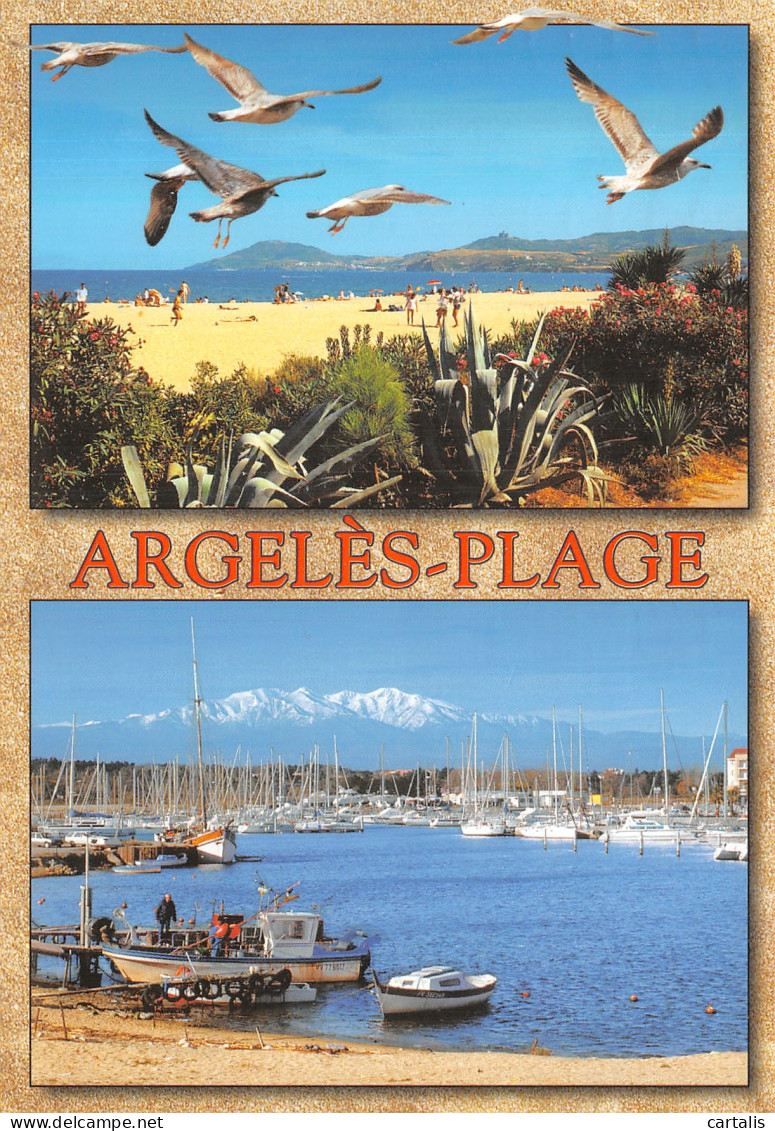 66-ARGELES SUR MER-N°4197-D/0383 - Argeles Sur Mer