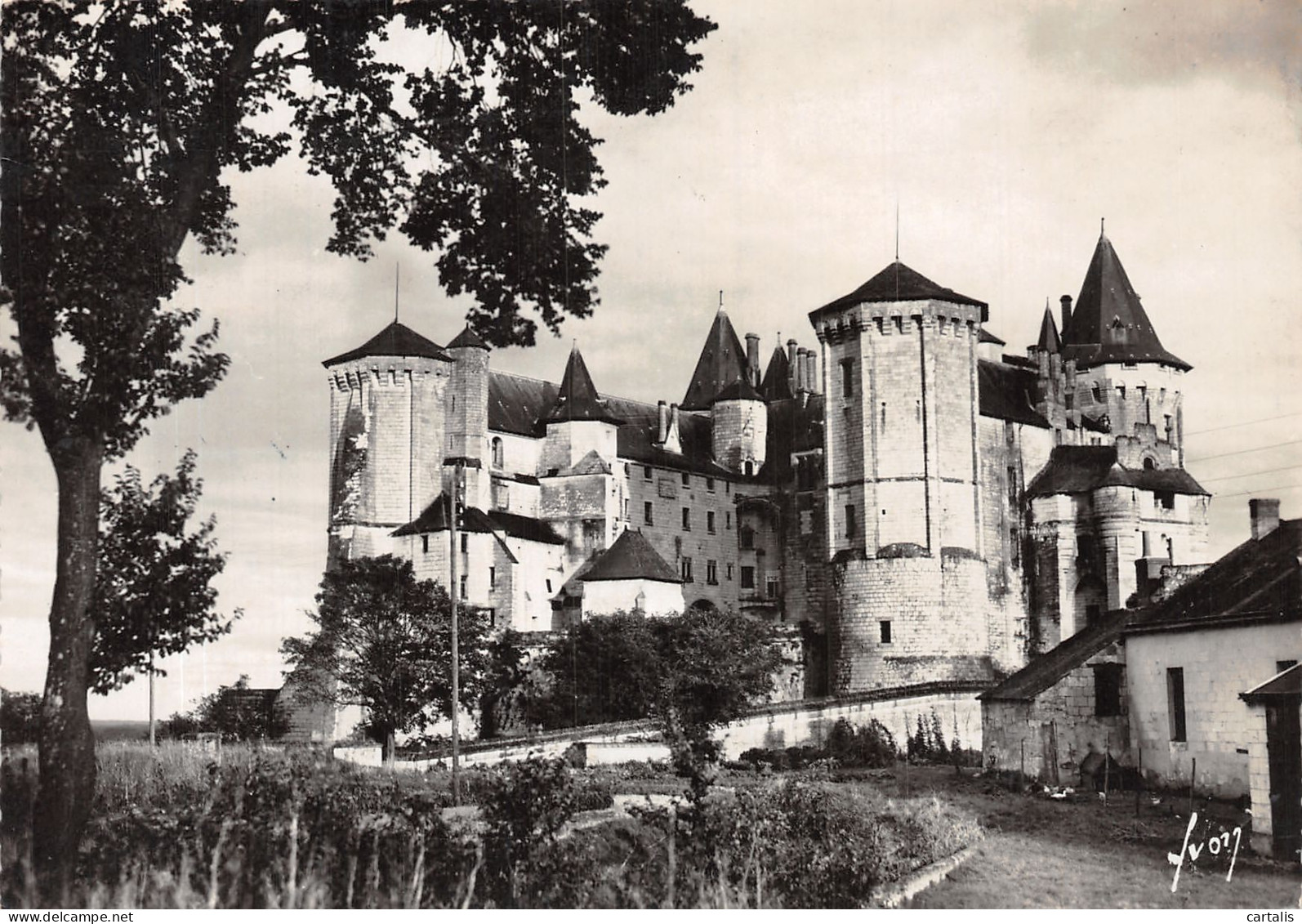 49-SAUMUR-N°4197-D/0241 - Saumur