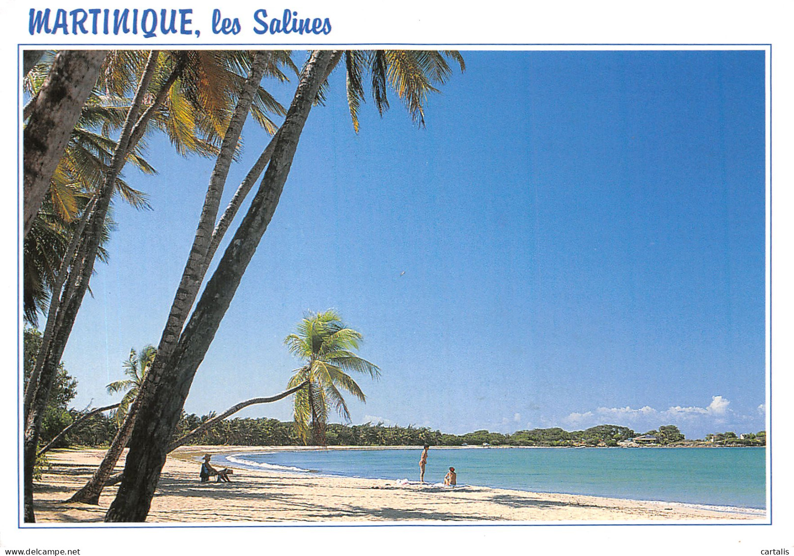 972-MARTINIQUE SAINTE ANNE PLAGE DES SALINES-N°4197-D/0049 - Autres & Non Classés