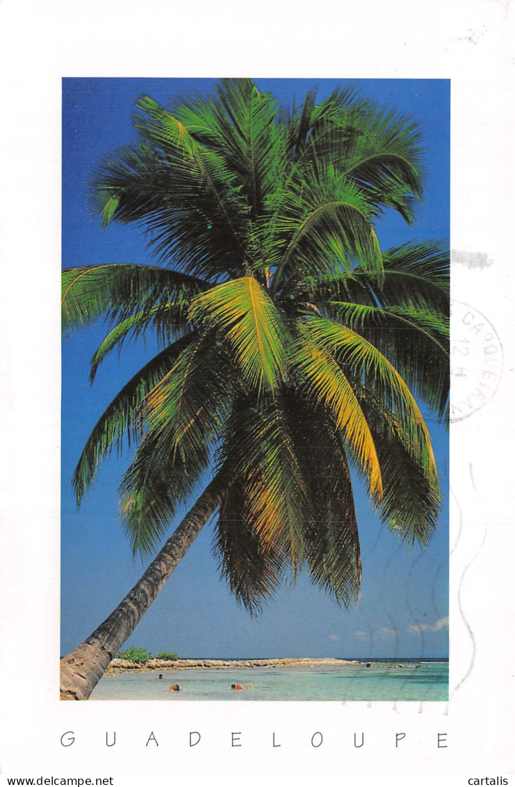 971-GUADELOUPE SAINTE ANNE PLAGE DE CARAVELLE-N°4197-D/0041 - Andere & Zonder Classificatie