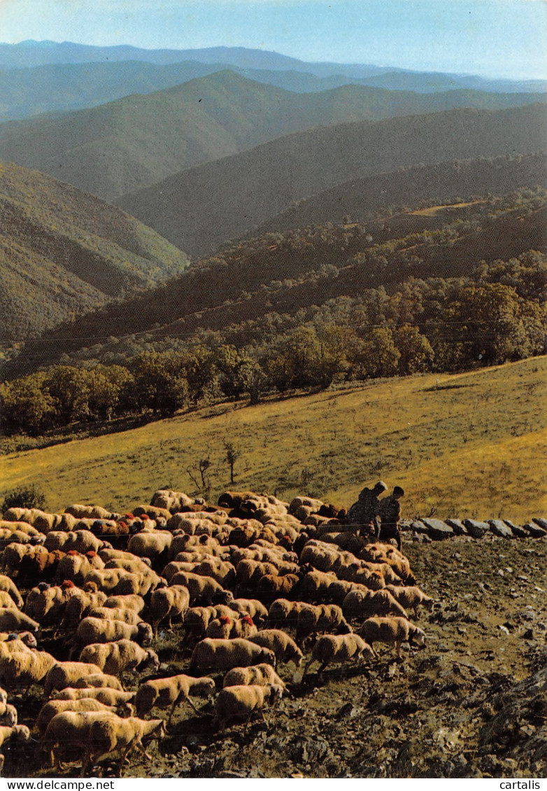 30-LES CEVENNES-N°4197-C/0351 - Sonstige & Ohne Zuordnung