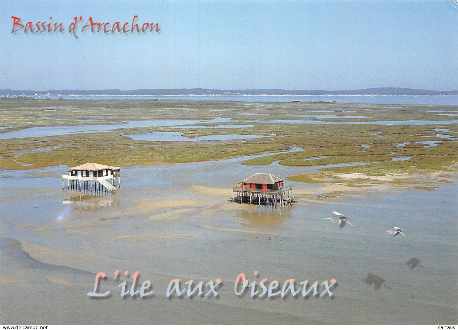 33-BASSIN D ARCACHON-N°4197-B/0397 - Other & Unclassified