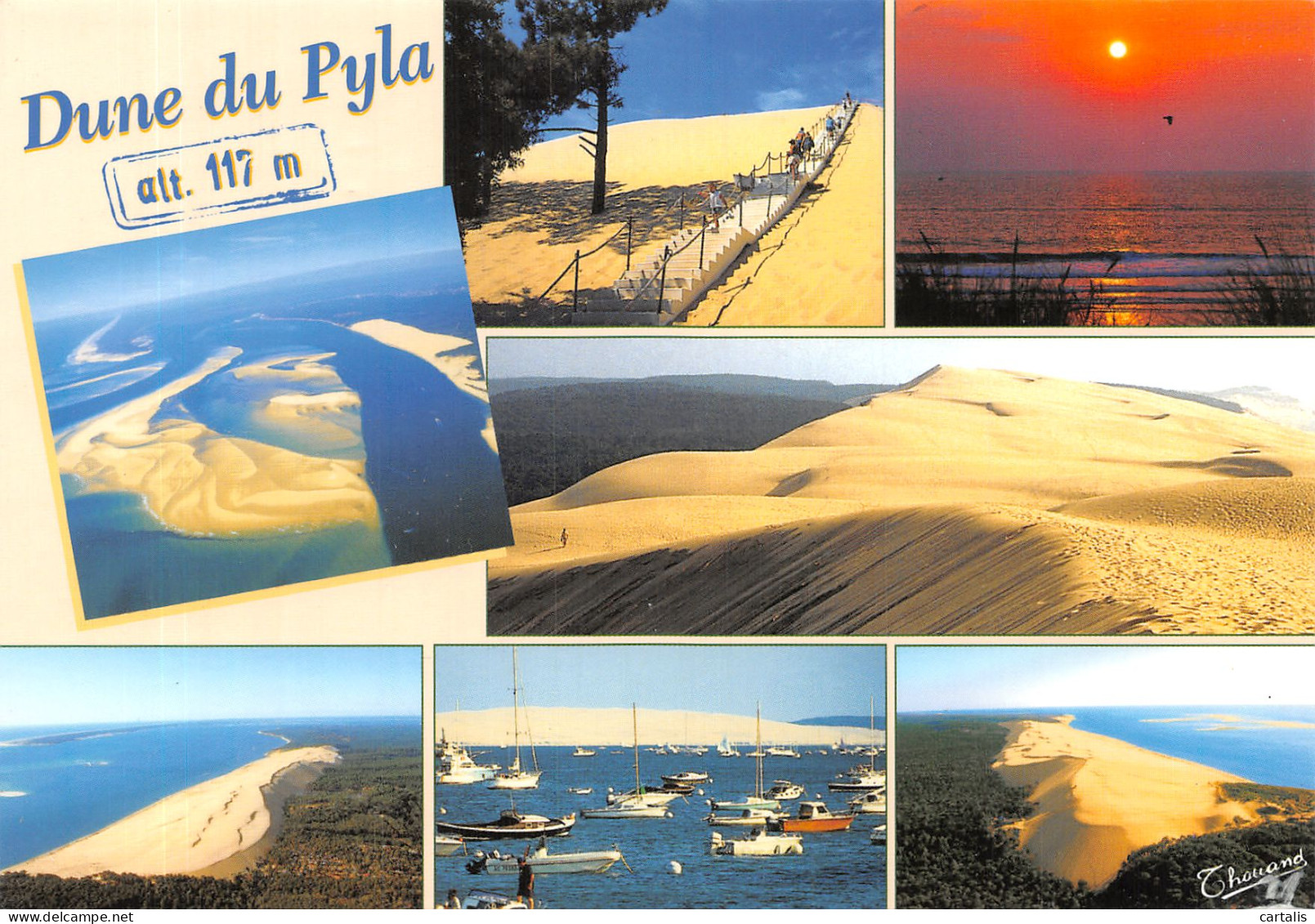 33-DUNE DU PYLA-N°4197-B/0395 - Other & Unclassified