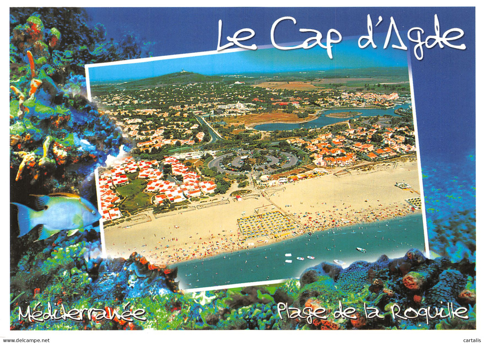 34-CAP D AGDE-N°4197-B/0295 - Other & Unclassified