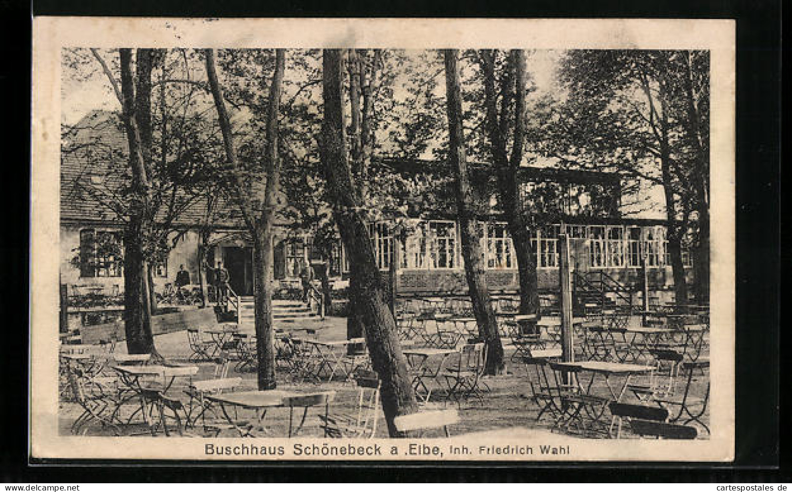 AK Schönebeck A. Elbe, Gasthaus Buschhaus Von Friedrich Wahl  - Schönebeck (Elbe)
