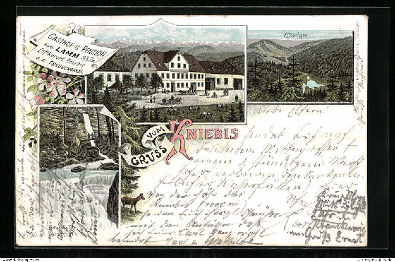 Lithographie Kniebis, Gasthaus U. Pension Zum Lamm, Sankenbacher Wasserfälle, Ellbachsee  - Other & Unclassified