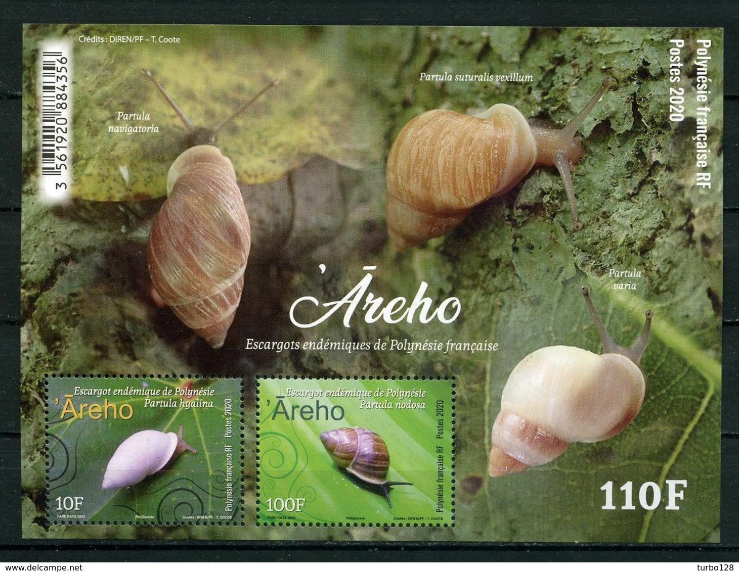 POLYNESIE 2020  Bloc N° 52 ** ( 1236/1237 ) Neufs MNH Superbes Faune Escargots Mollusques Pardula Nodosa Hyalina - Unused Stamps