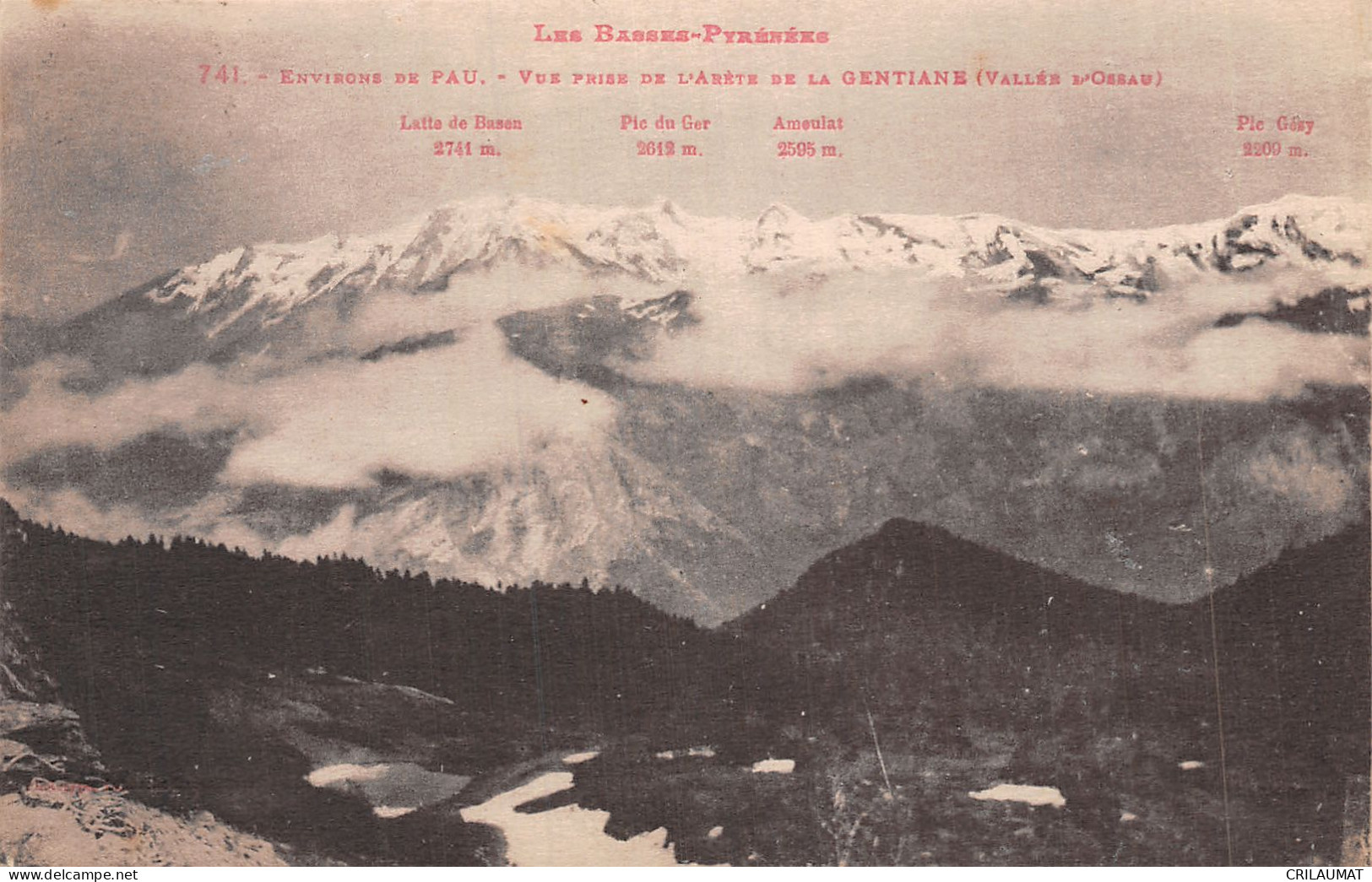 64-L ARETE DE LA GENTIANE VALLEE D OSSAU-N°5144-E/0069 - Otros & Sin Clasificación