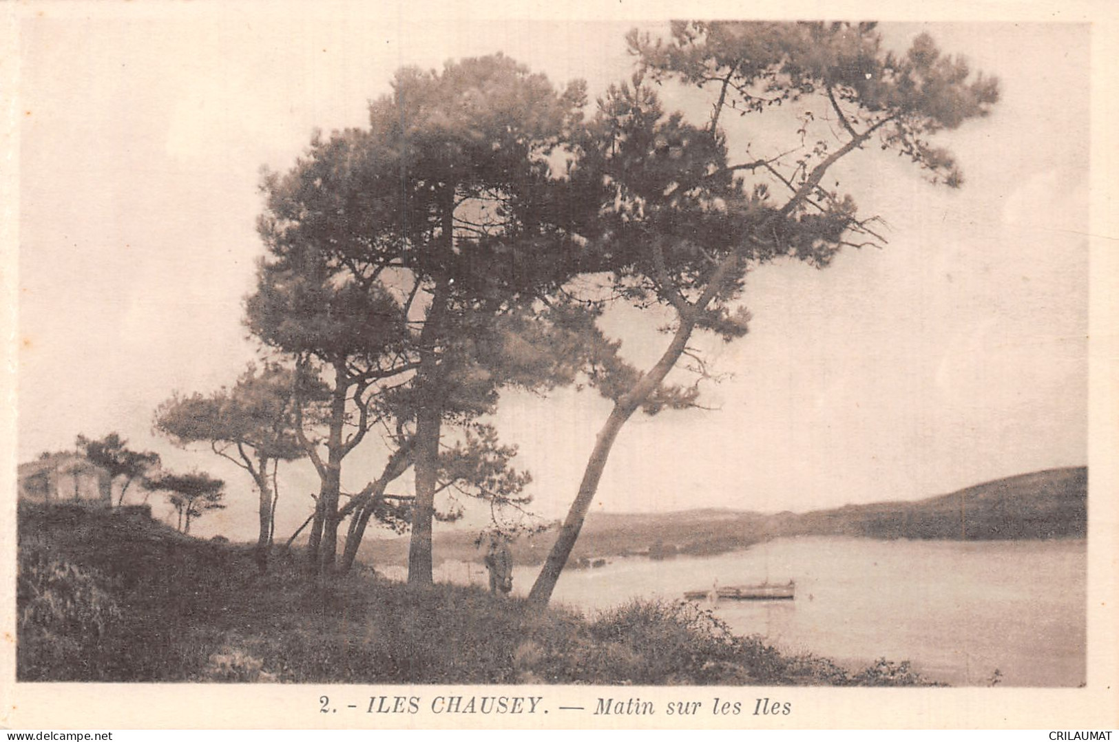 50-ILES CHAUSEY-N°5144-E/0019 - Other & Unclassified