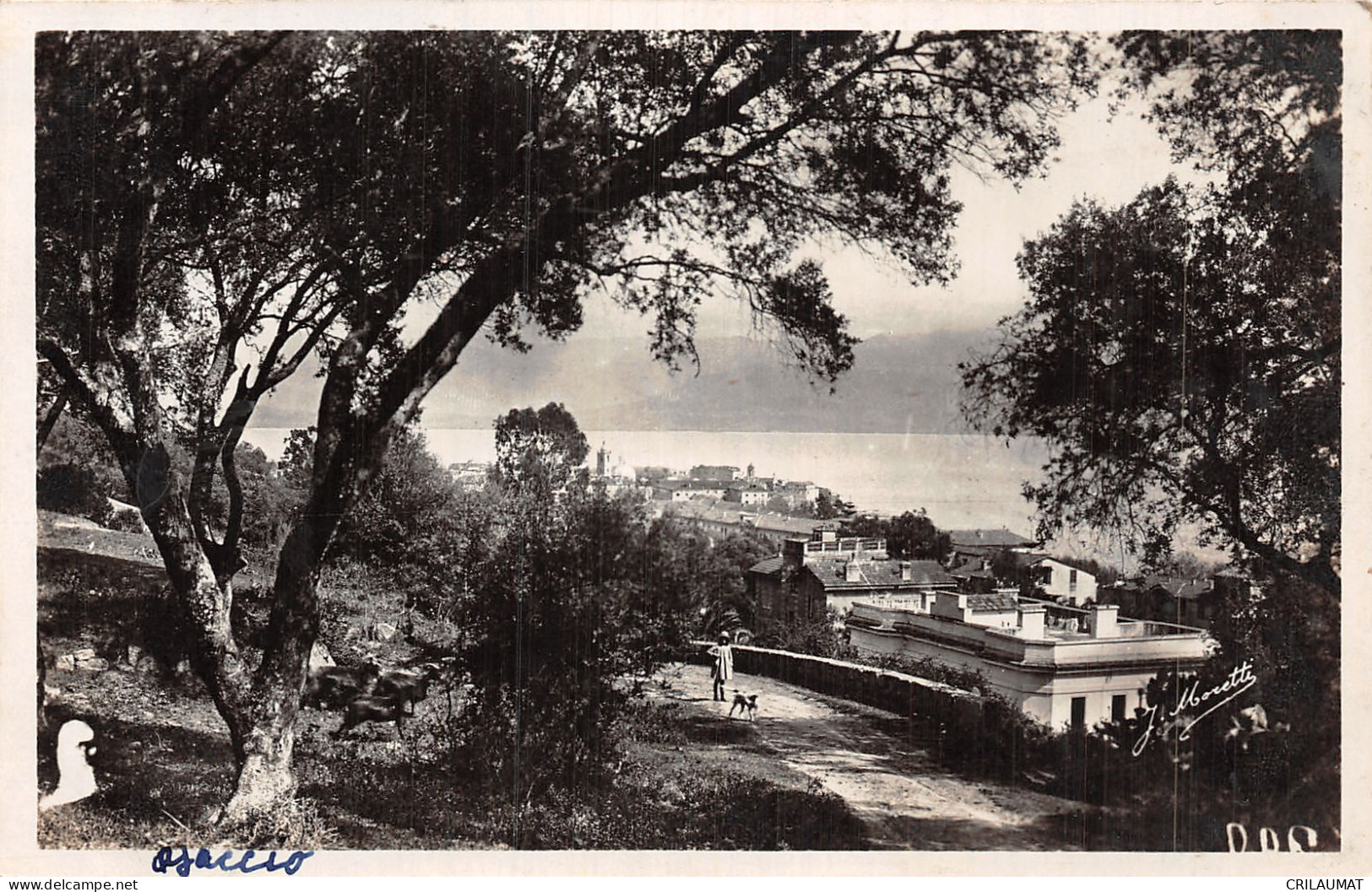 2A-CORSE AJACCIO-N°5144-D/0277 - Other & Unclassified