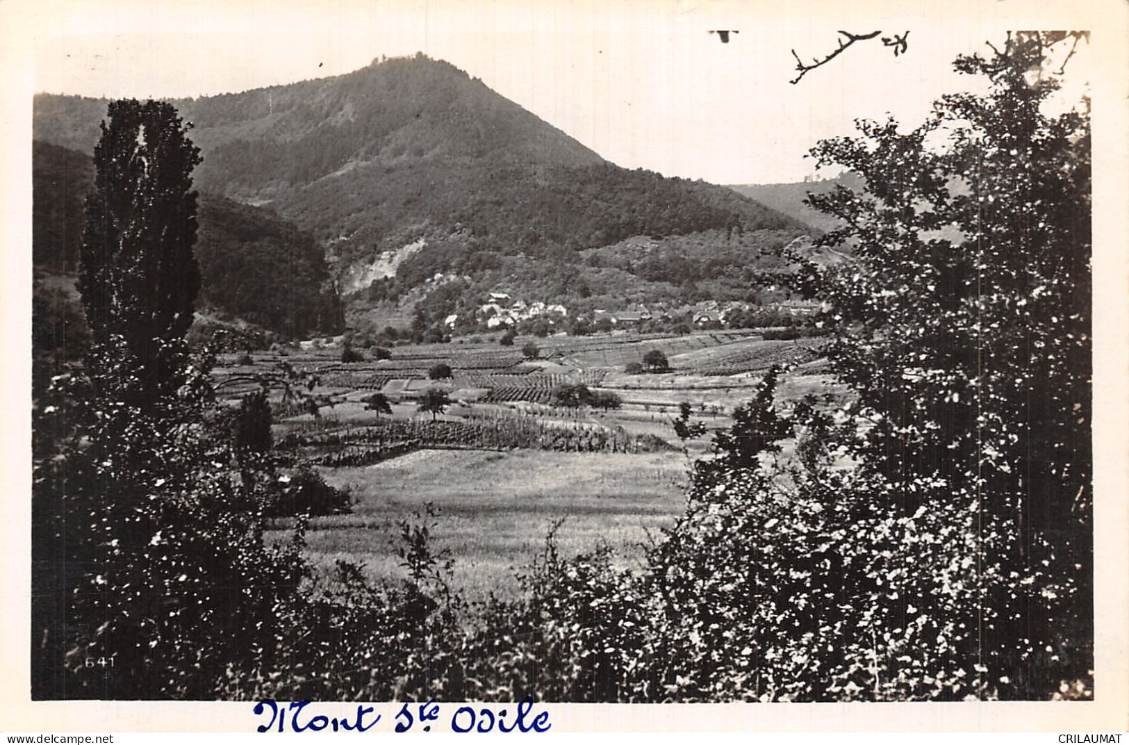 67-MONT SAINTE ODILE-N°5144-D/0247 - Other & Unclassified