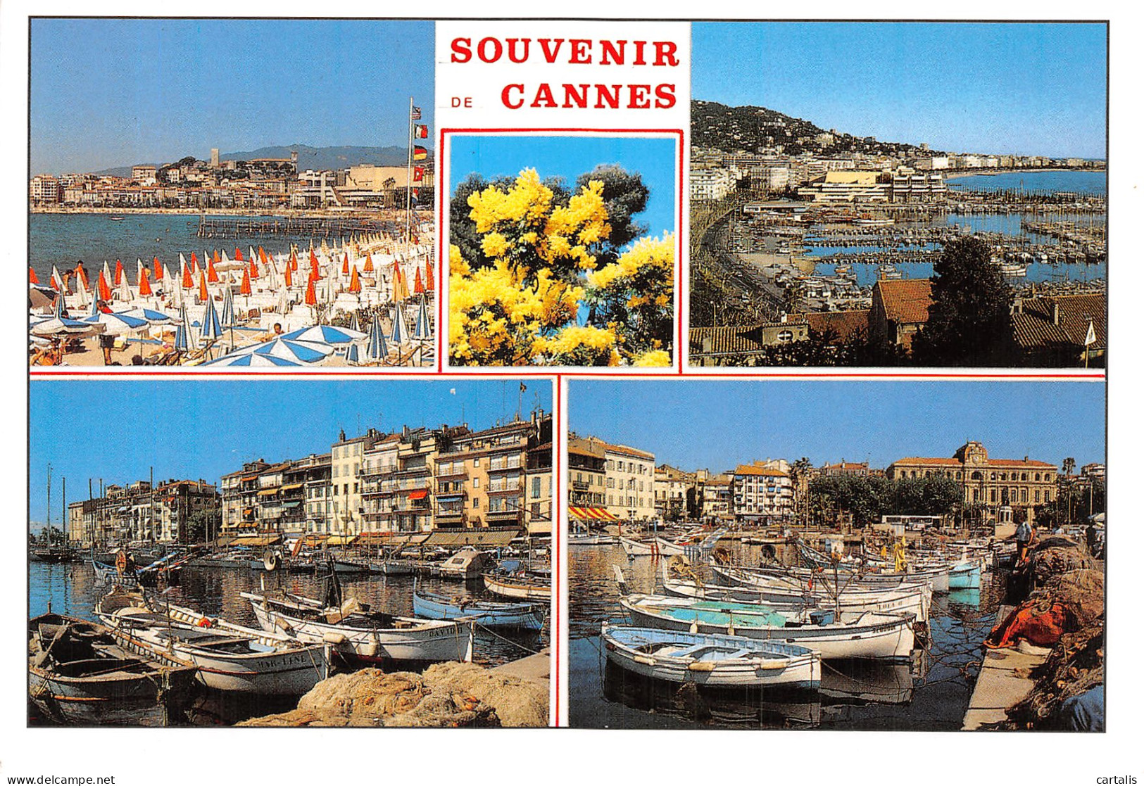 06-CANNES-N°4198-B/0193 - Cannes