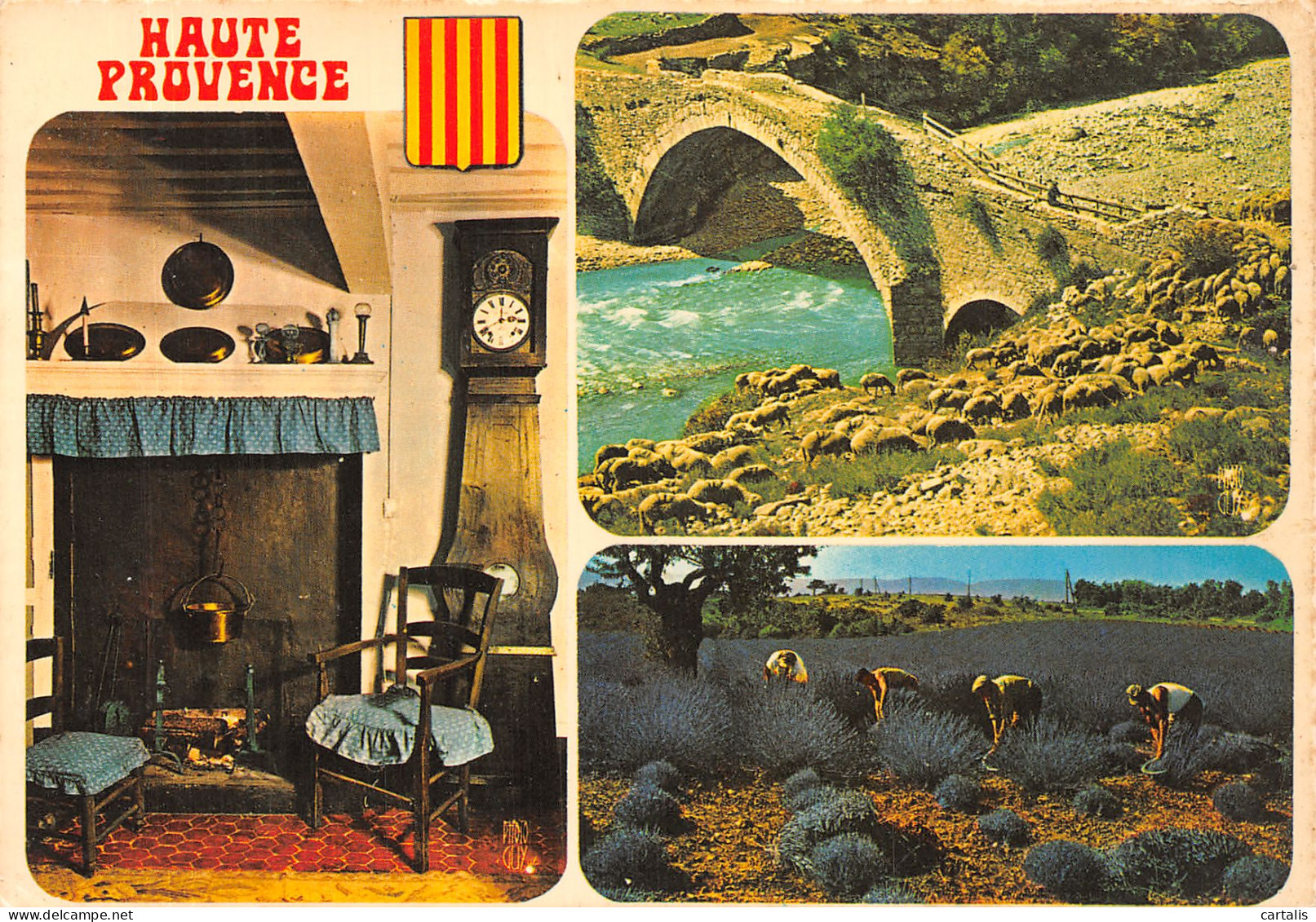 04-HAUTE PROVENCE-N°4198-B/0151 - Other & Unclassified