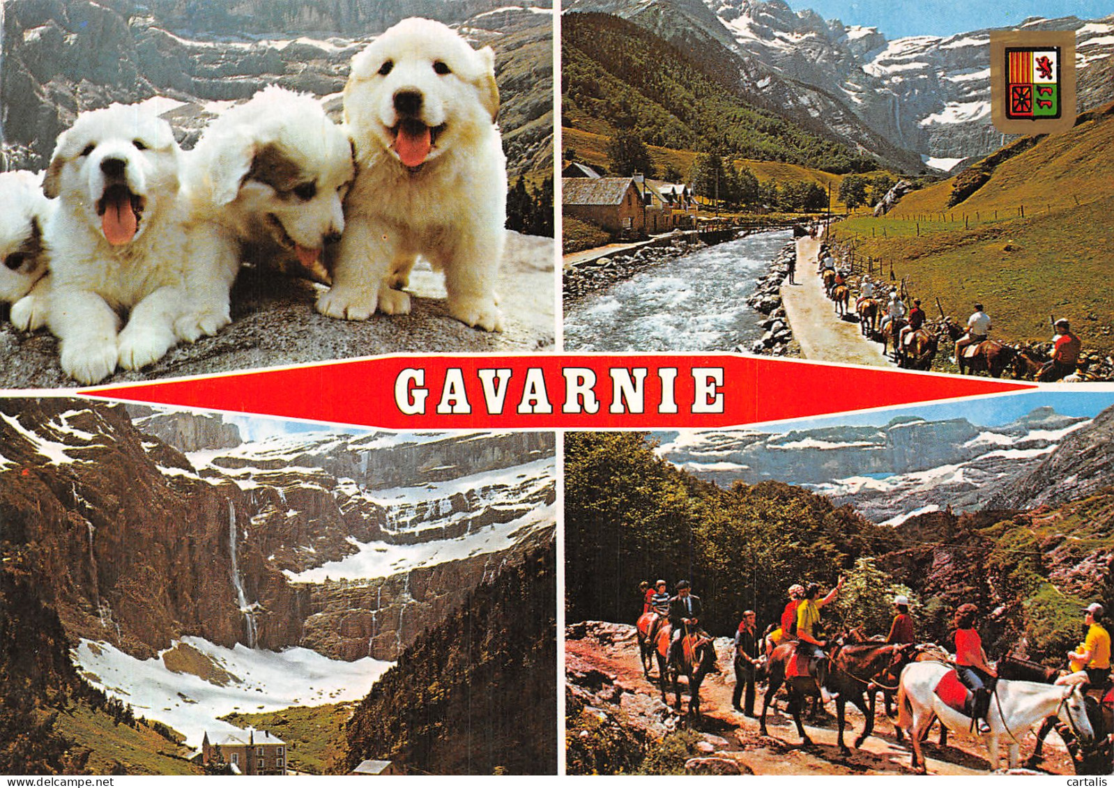 65-GAVARNIE-N°4198-A/0267 - Gavarnie