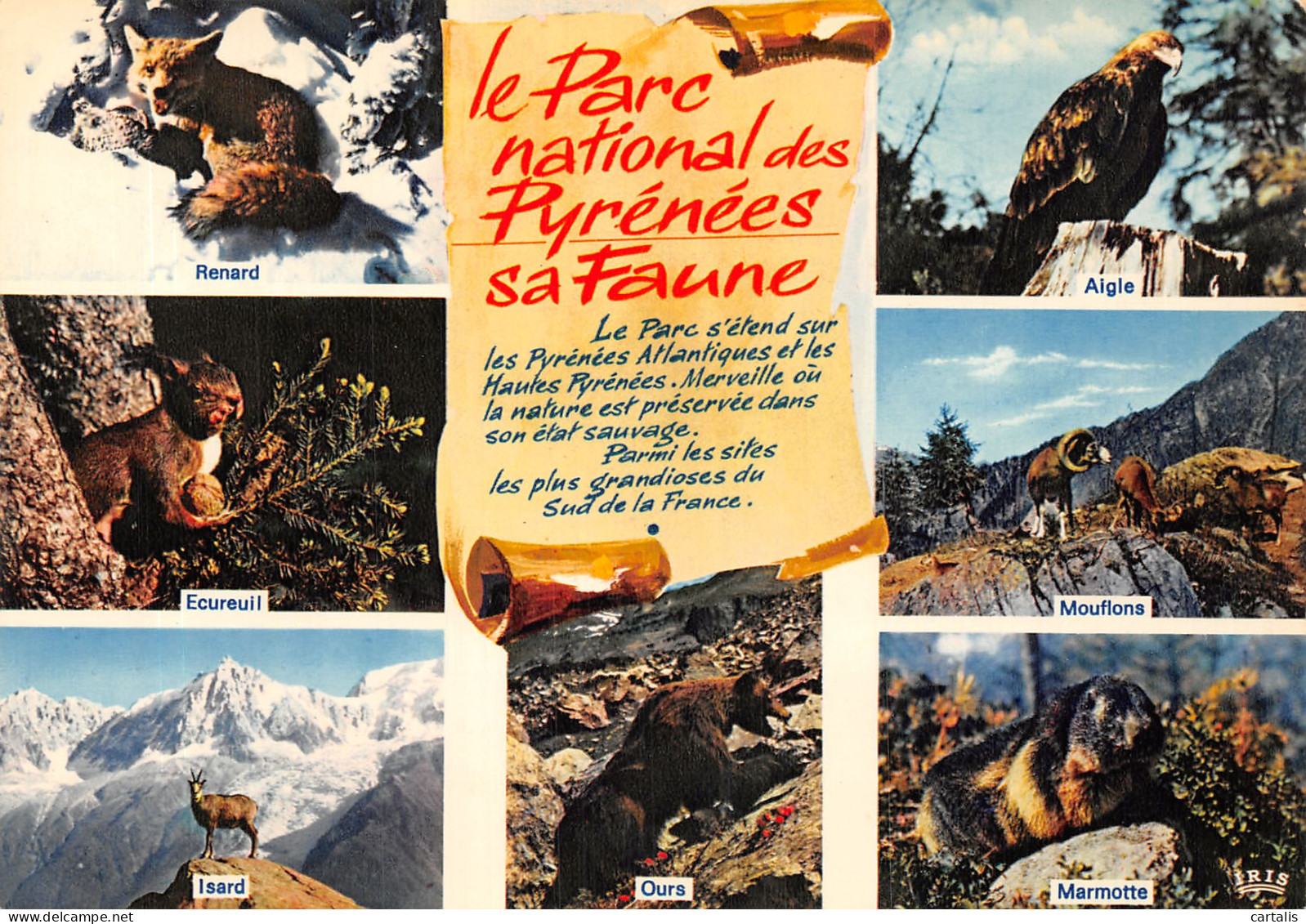 64-PYRENEES-N°4198-A/0263 - Otros & Sin Clasificación