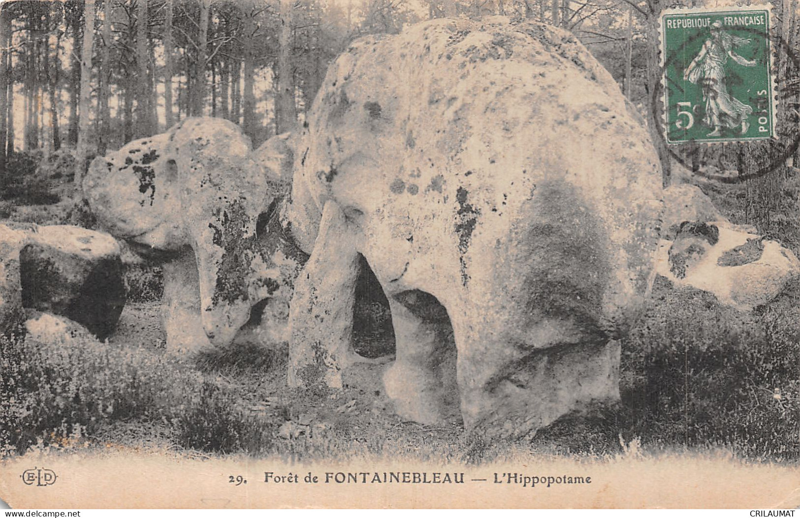 77-FONTAINEBLEAU LA FORET-N°5145-A/0163 - Fontainebleau