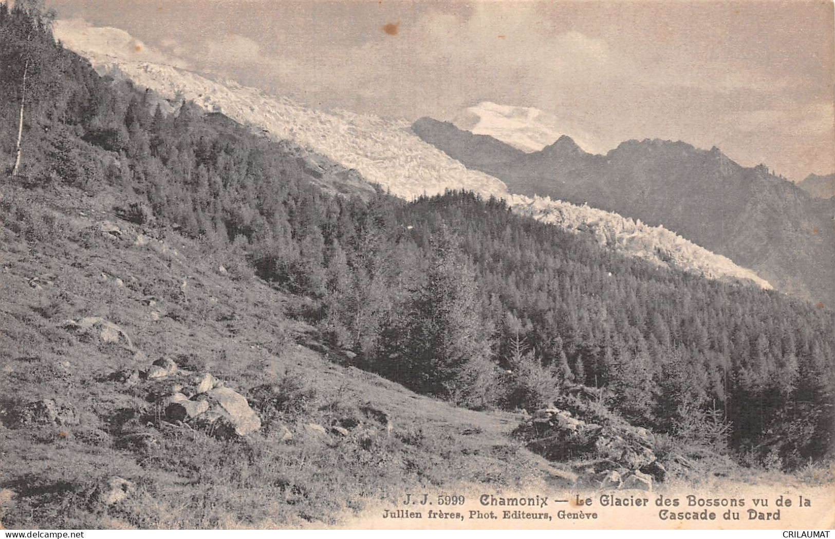 74-CHAMONIX-N°5144-H/0135 - Chamonix-Mont-Blanc