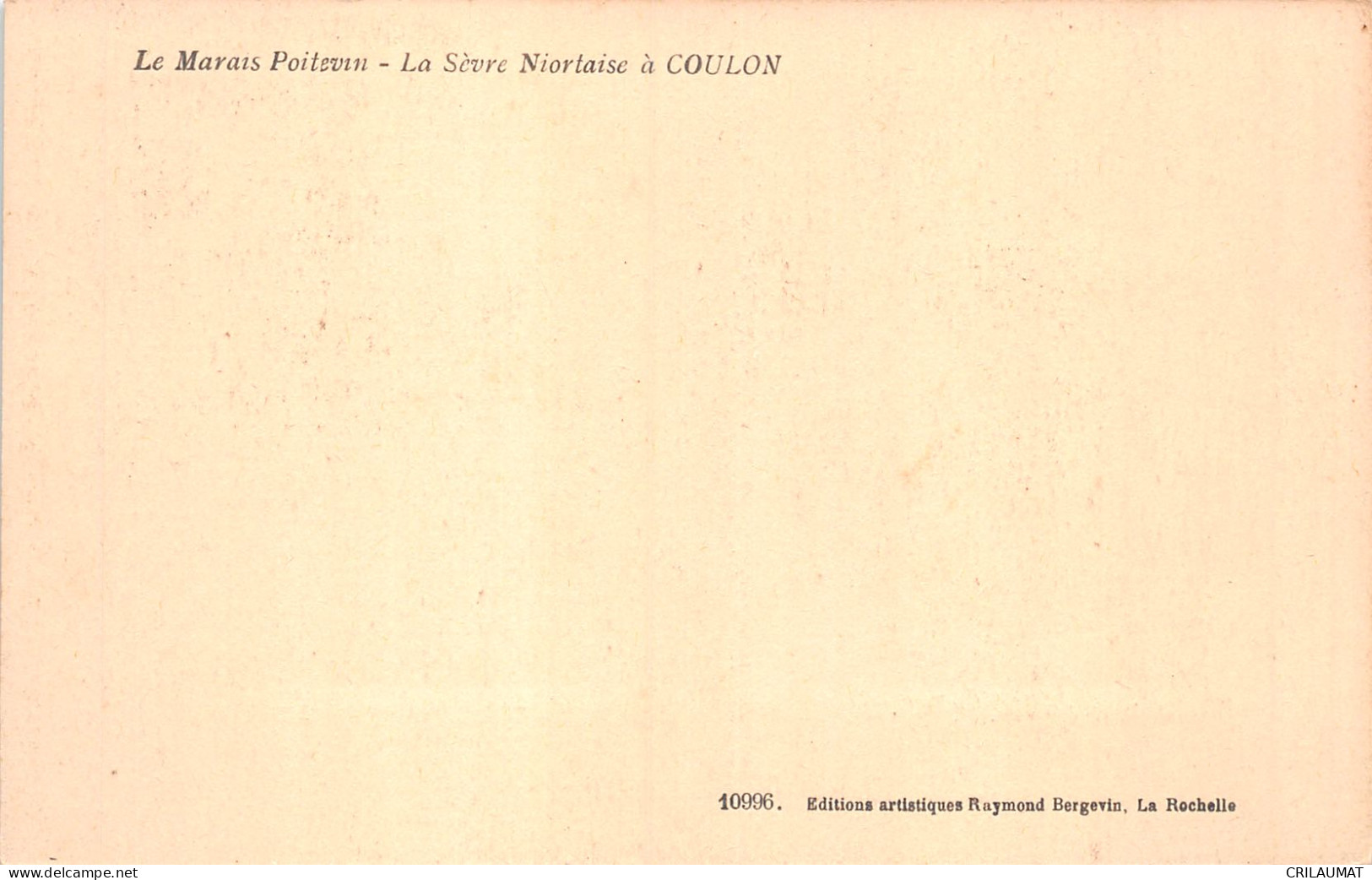 79-COULON LA SEVRE NIORTAISE-N°5144-H/0019 - Other & Unclassified