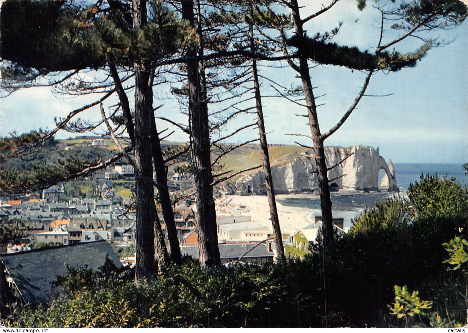 76-ETRETAT-N°4198-D/0129 - Etretat