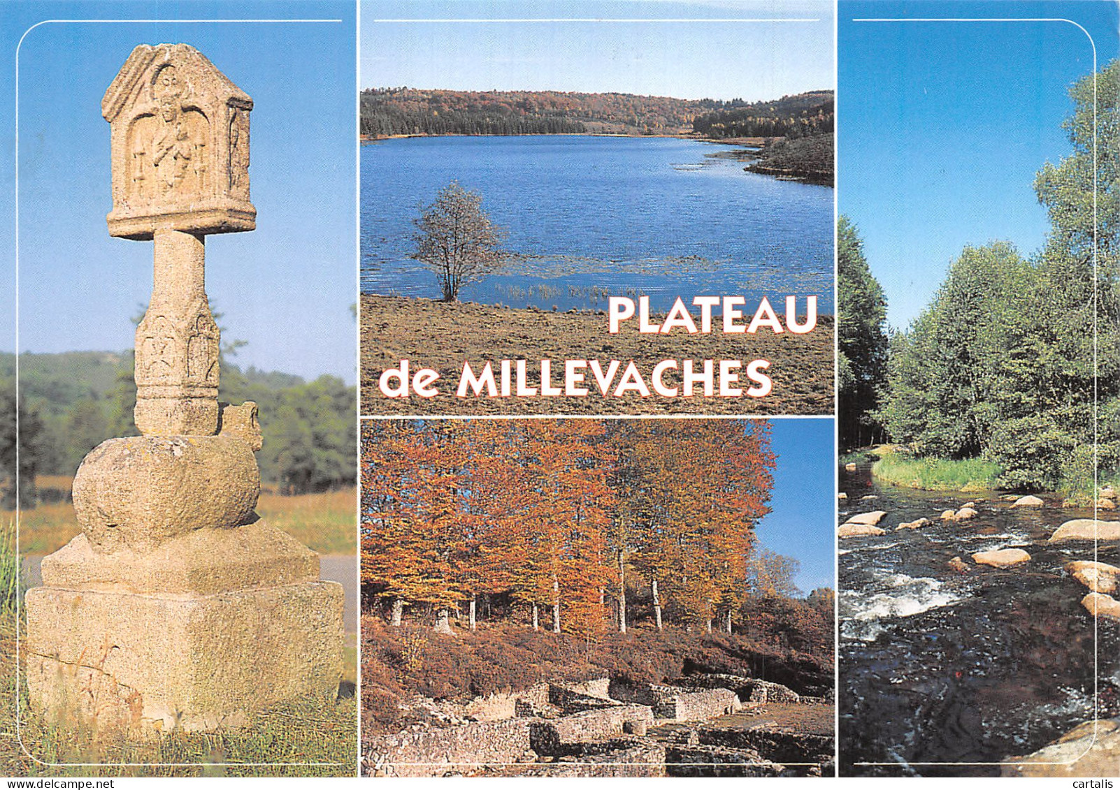 23-PLATEAU DE MILLEVACHES-N°4198-D/0035 - Andere & Zonder Classificatie