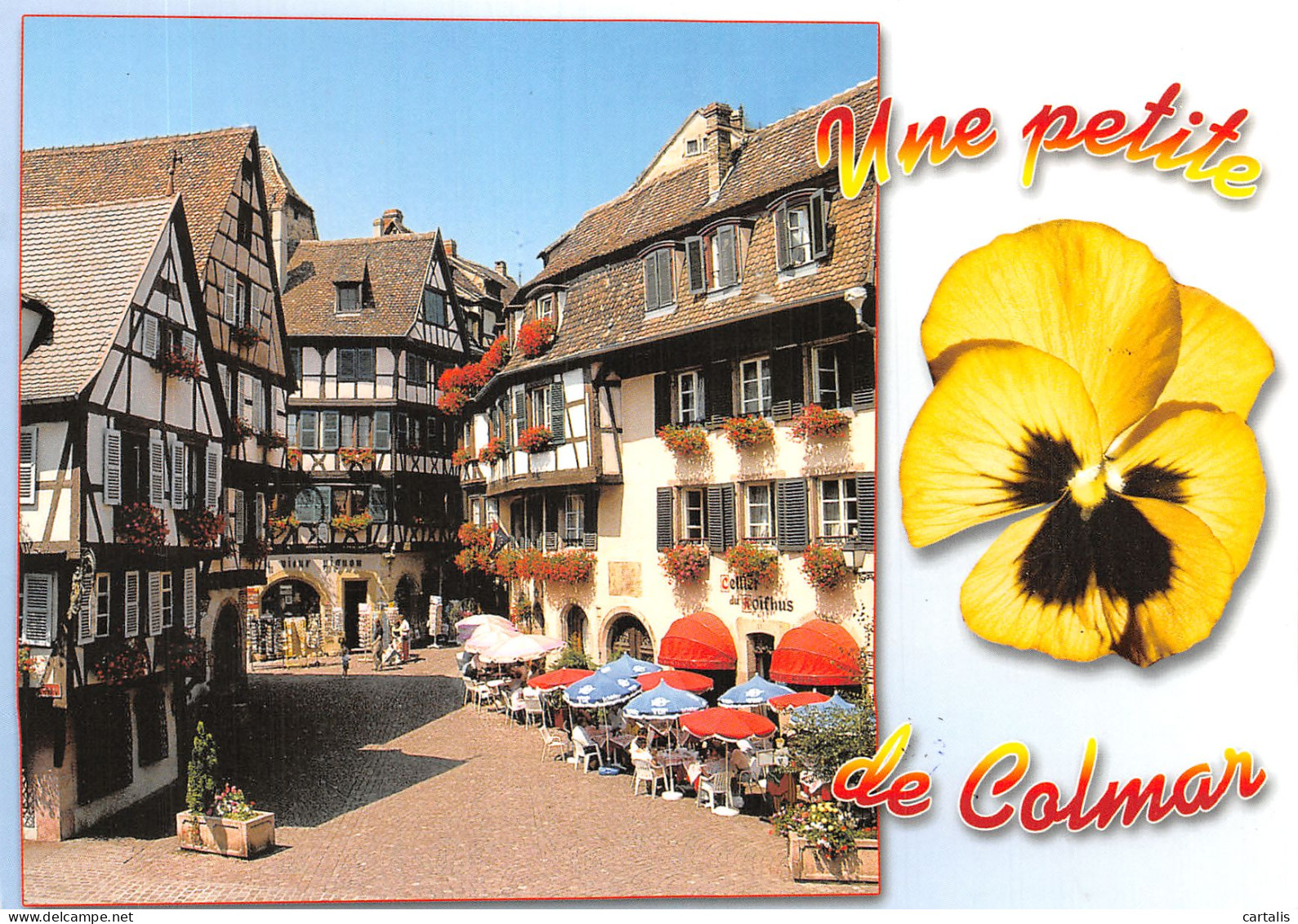 68-COLMAR-N°4198-C/0021 - Colmar