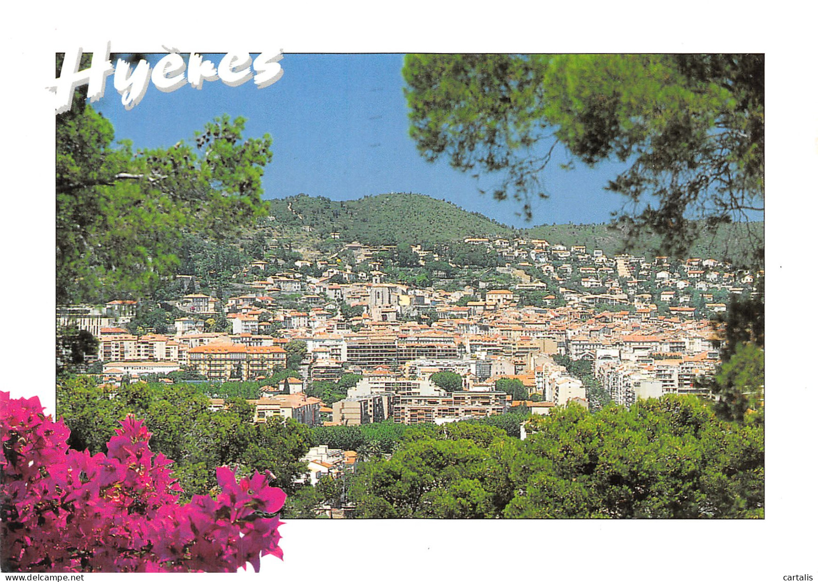 83-HYERES LES PALMIERS-N°4198-B/0297 - Hyeres