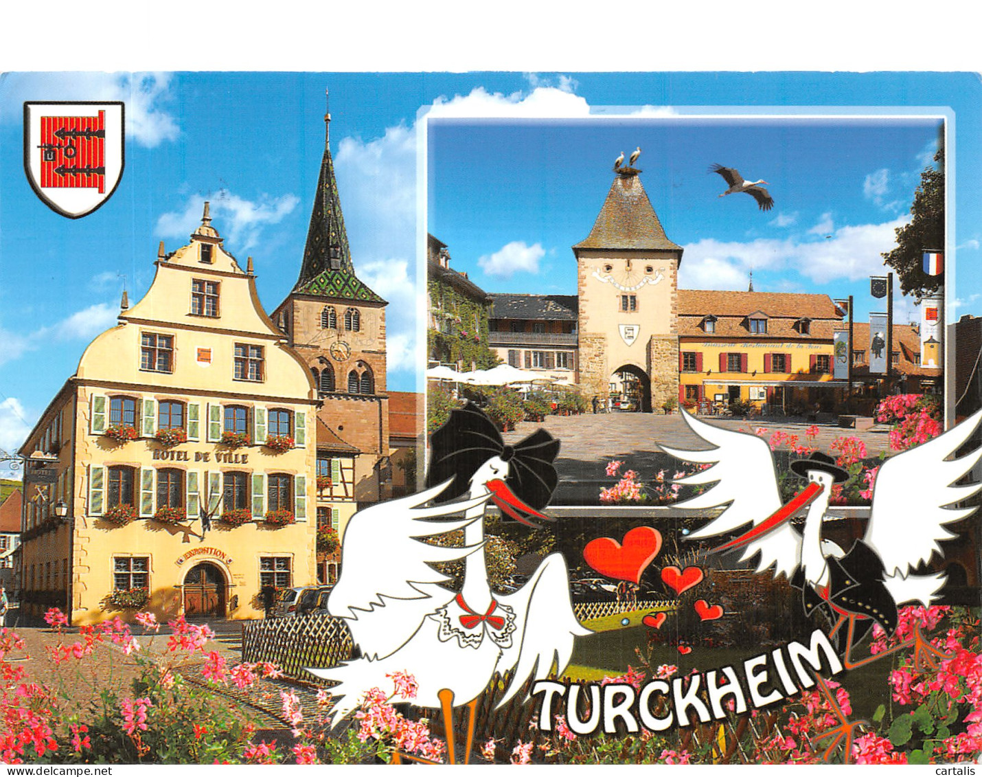 68-TURCKHEIM-N°4199-B/0209 - Turckheim