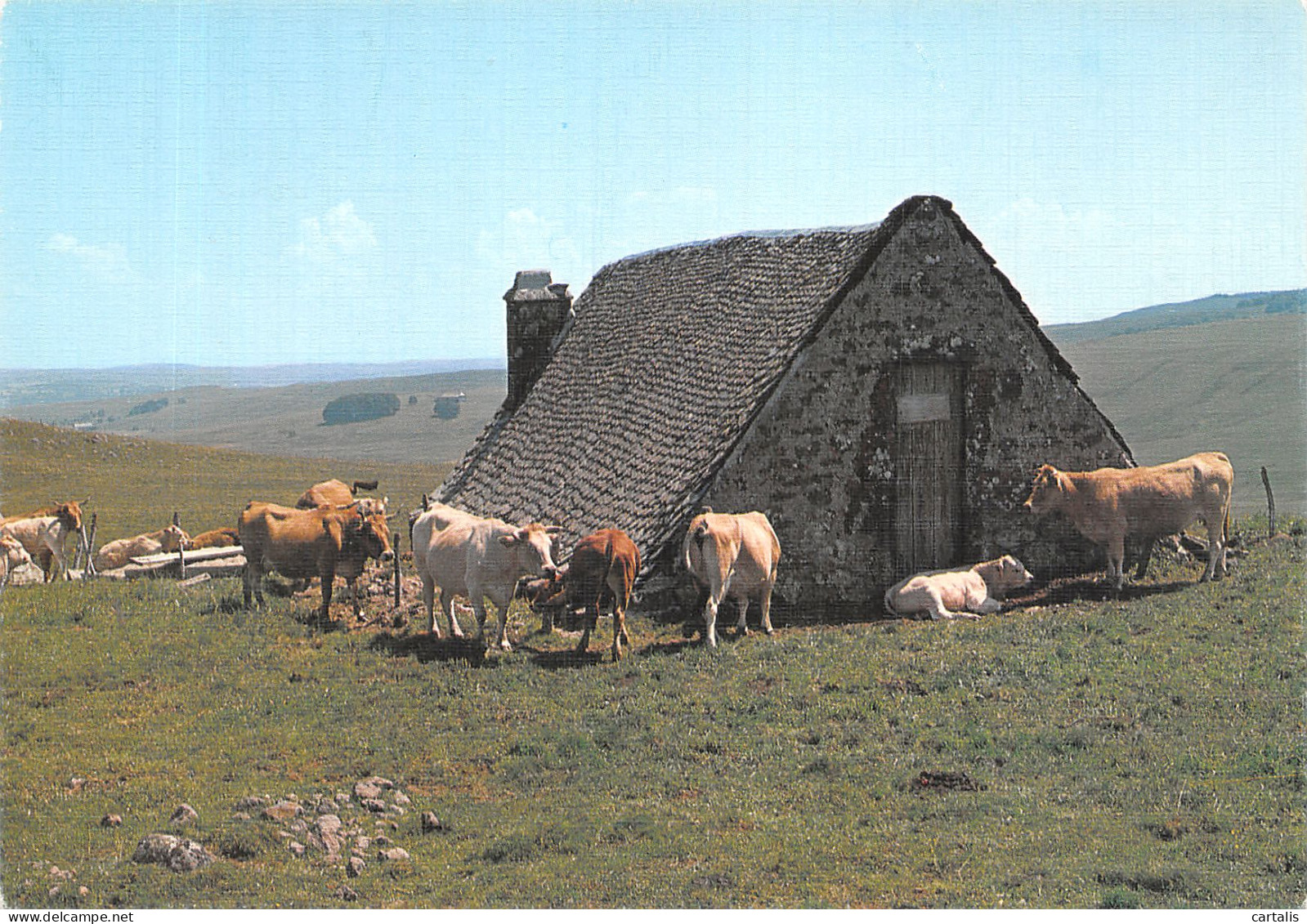 48-MONTS D AUBRAC-N°4199-B/0159 - Andere & Zonder Classificatie