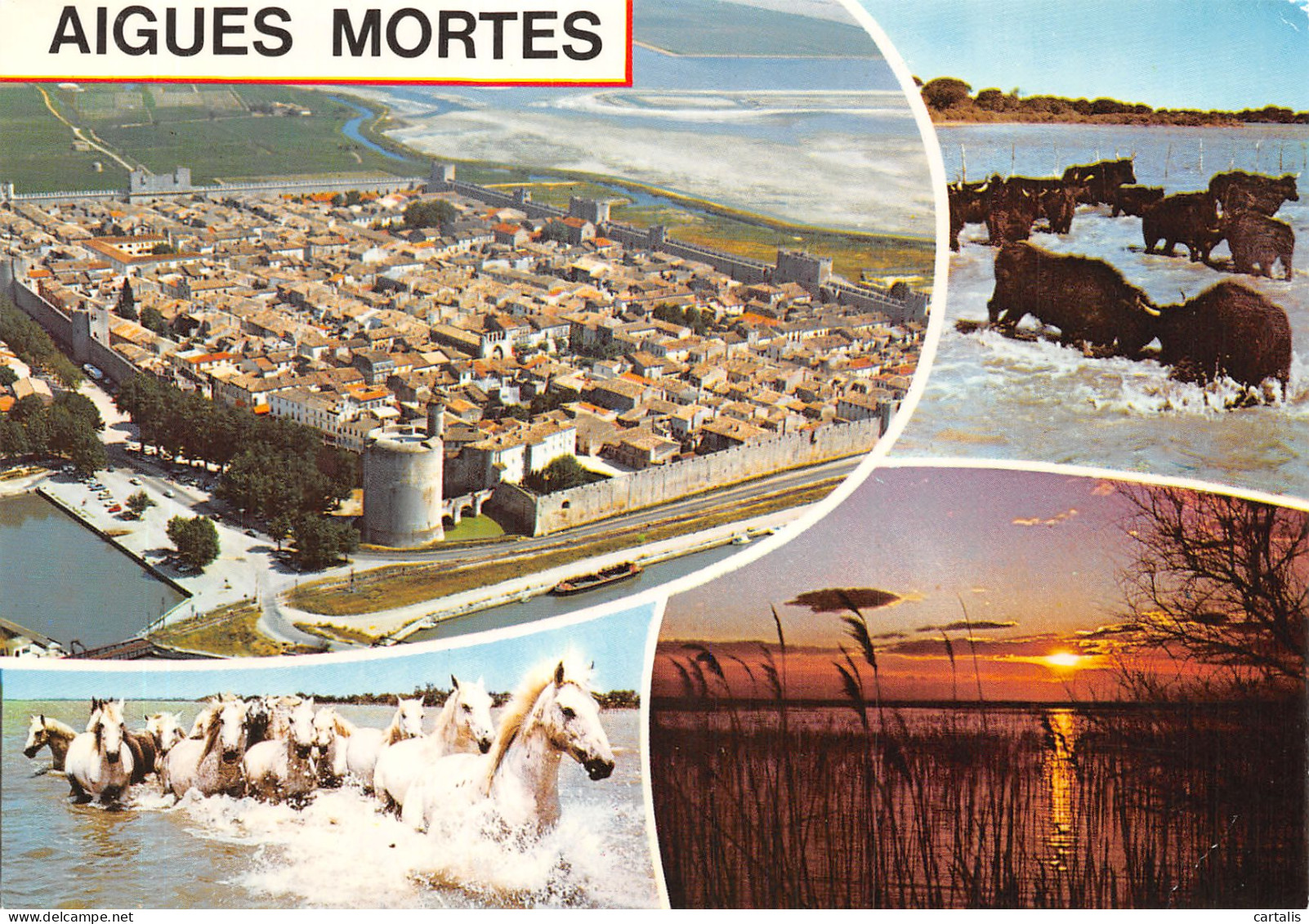 30-AIGUES MORTES-N°4199-A/0327 - Aigues-Mortes