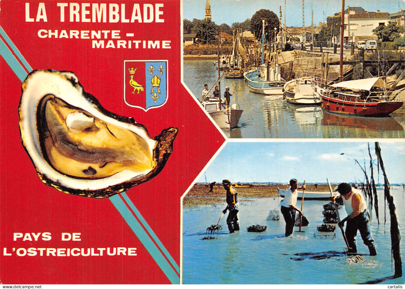 17-LA TREMBLADE-N°4199-A/0225 - La Tremblade