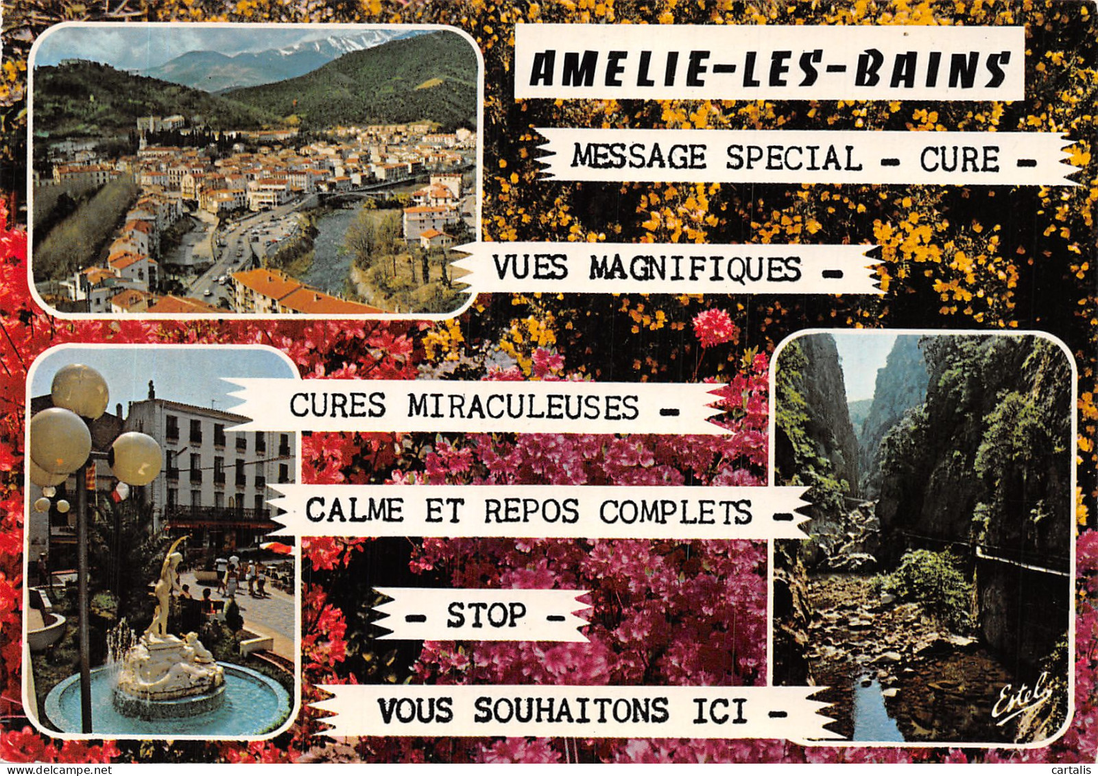 66-AMELIE LES BAINS-N°4199-A/0093 - Other & Unclassified
