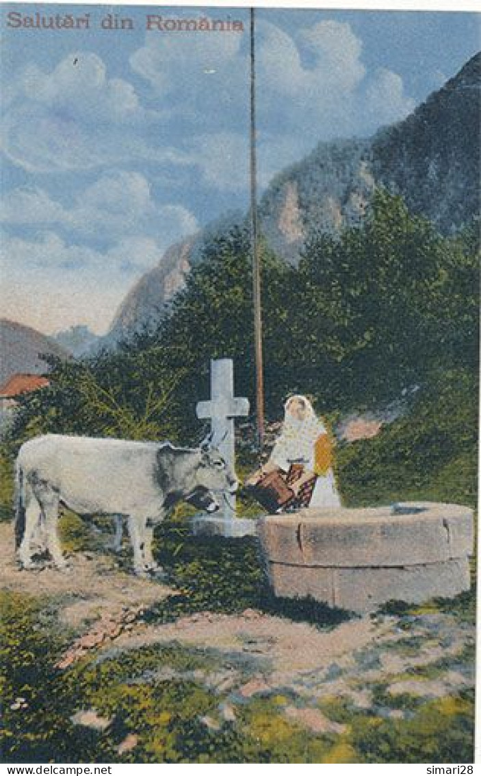 ROUMANIE - N° 3181 - SALUTARI DIN ROMANIA - Romania