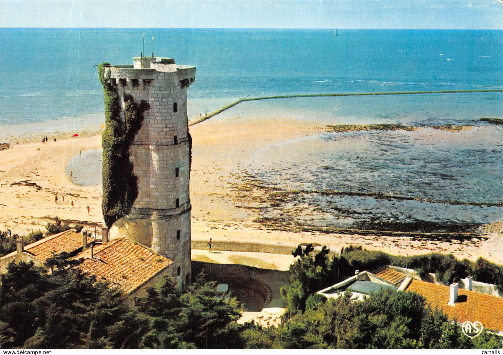 17-ILE DE RE-N°4199-D/0377 - Ile De Ré