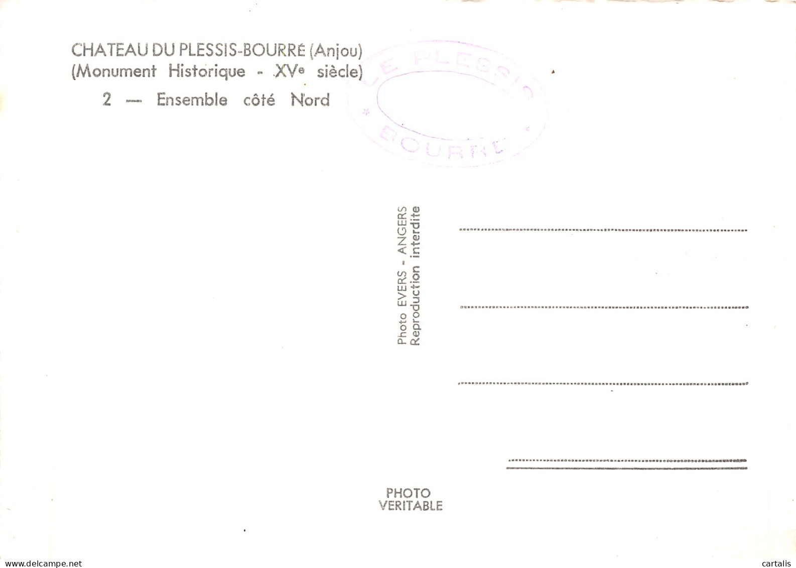 49-ECUILLE-N°4199-D/0321 - Other & Unclassified