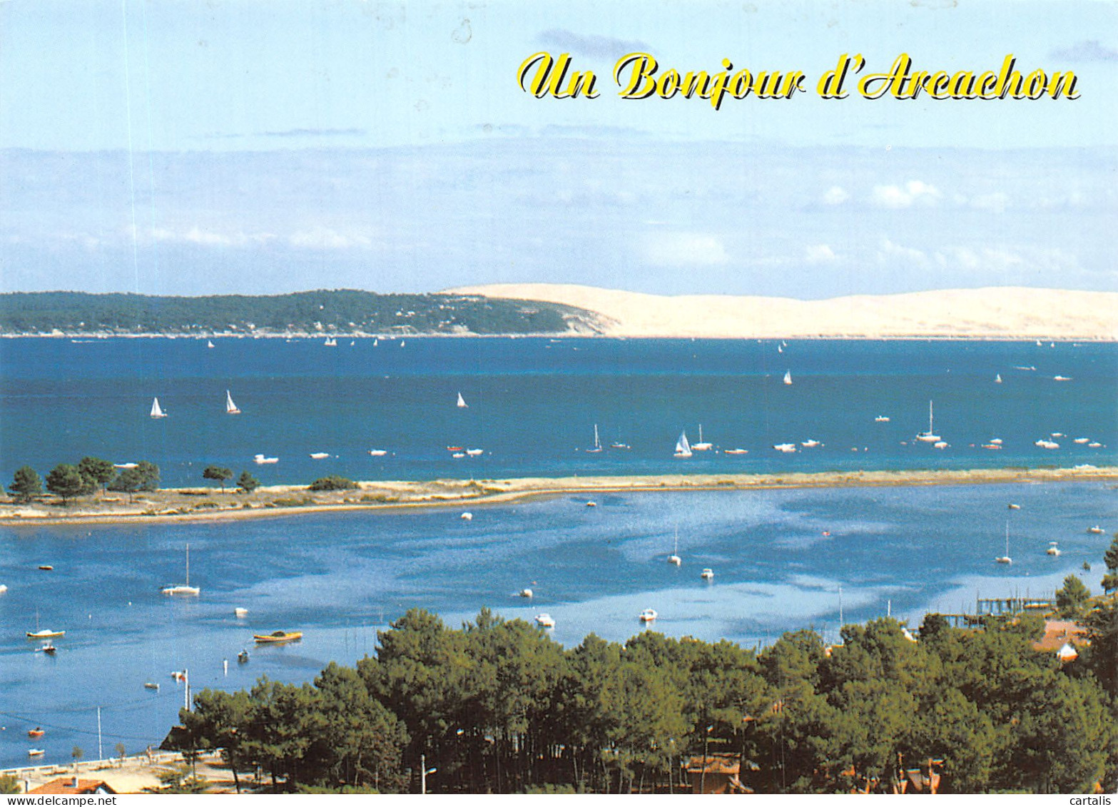 33-BASSIN D ARCACHON-N°4199-D/0133 - Autres & Non Classés