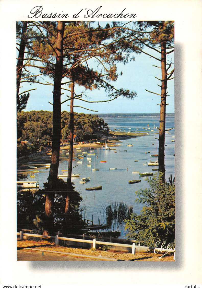 33-BASSIN D ARCACHON-N°4199-D/0137 - Other & Unclassified