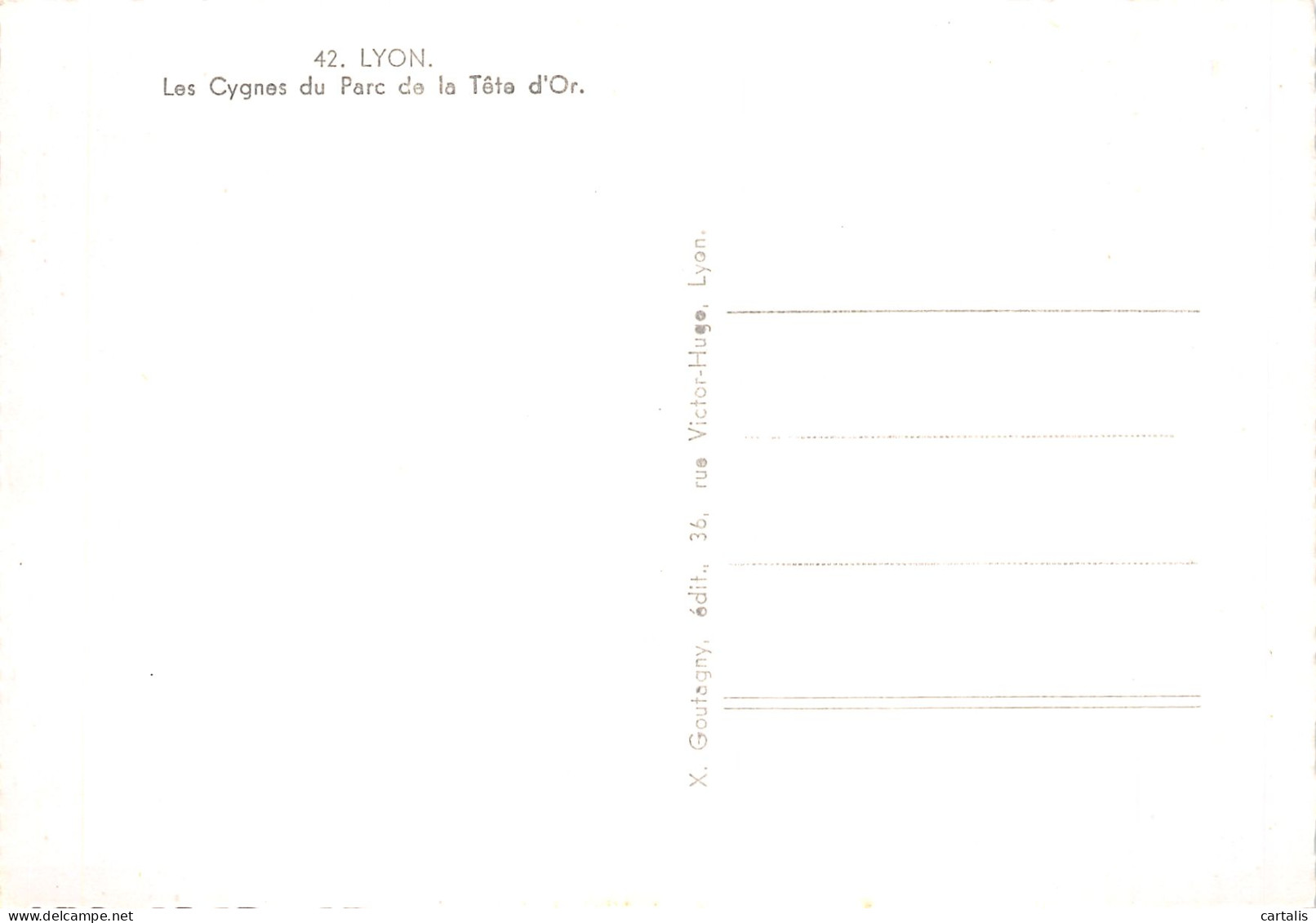 69-LYON-N°4199-D/0061 - Sonstige & Ohne Zuordnung