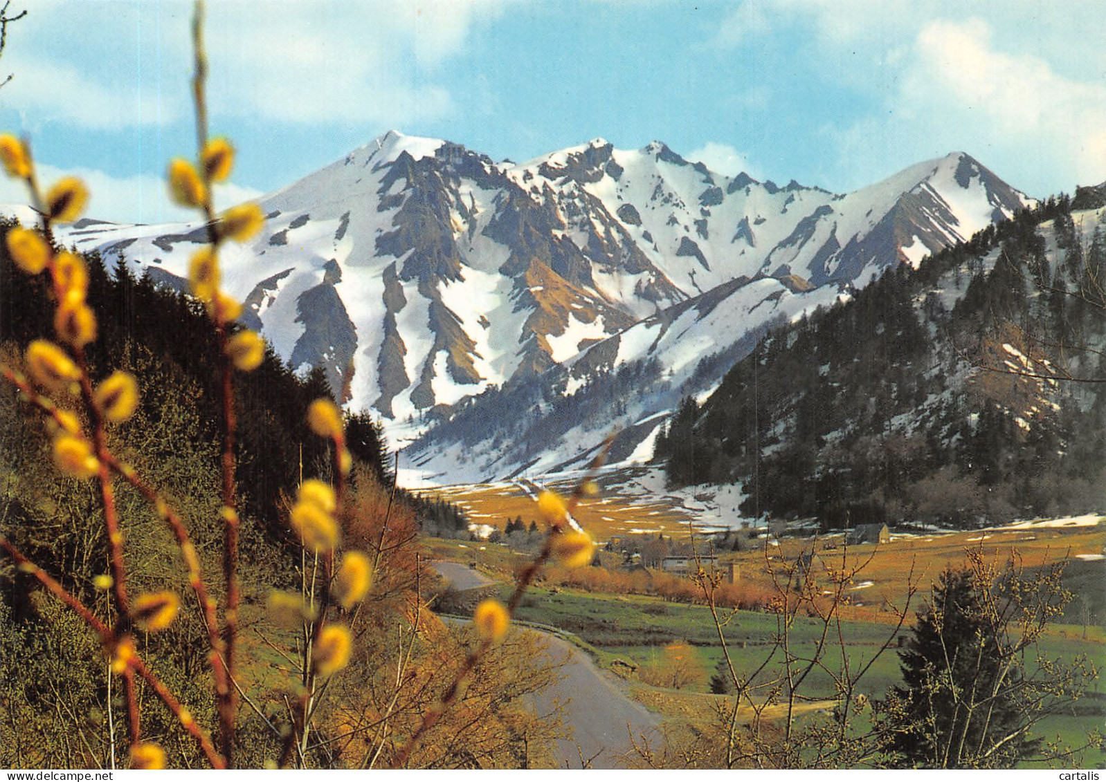 63-PUY DE SANCY-N°4199-B/0339 - Autres & Non Classés