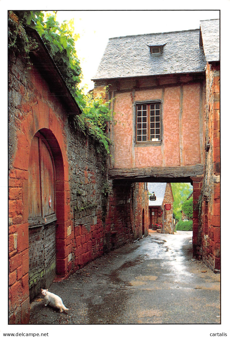 19-COLLONGES LA ROUGE-N°4199-B/0325 - Andere & Zonder Classificatie